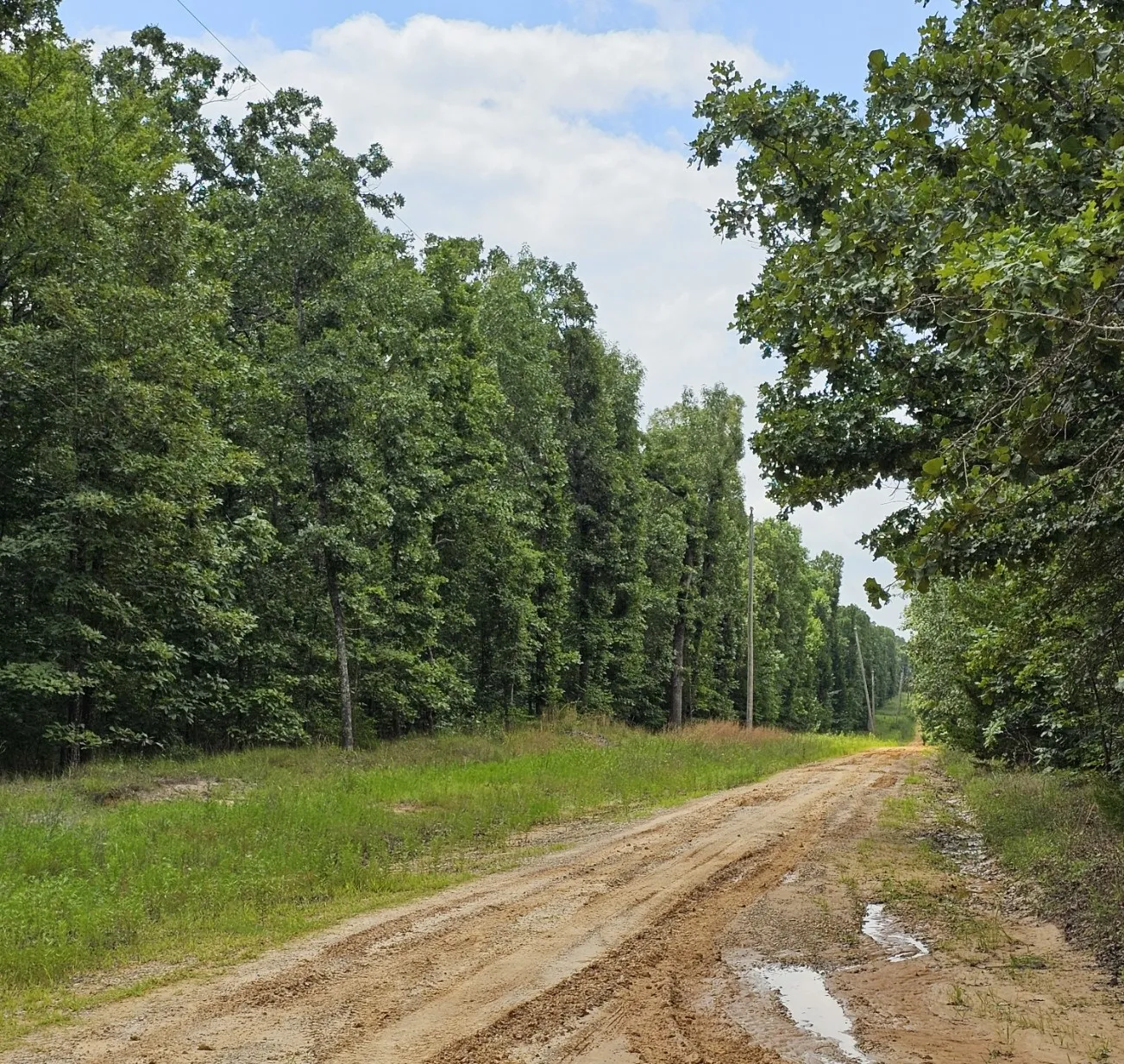 main road