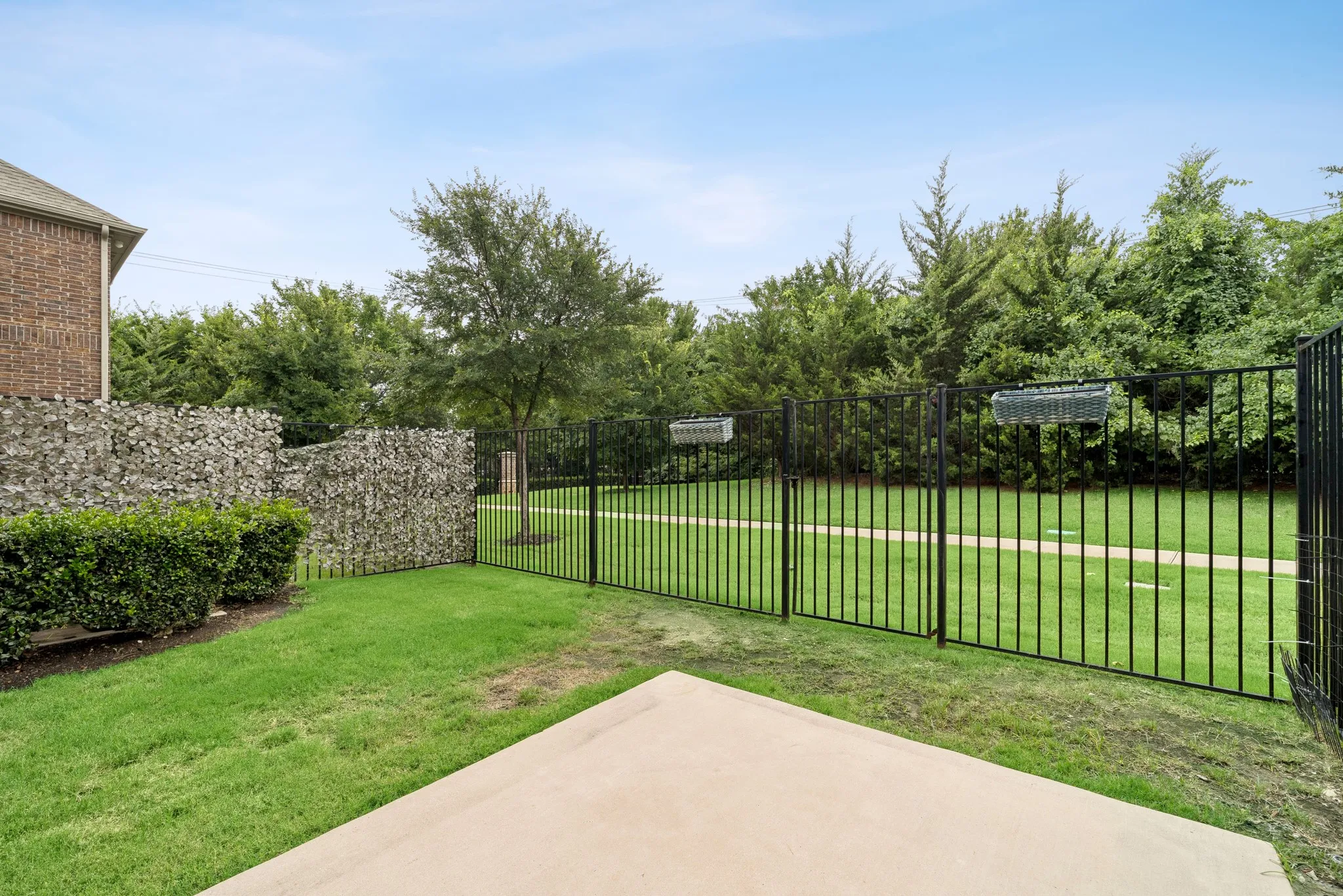 green space behind yard