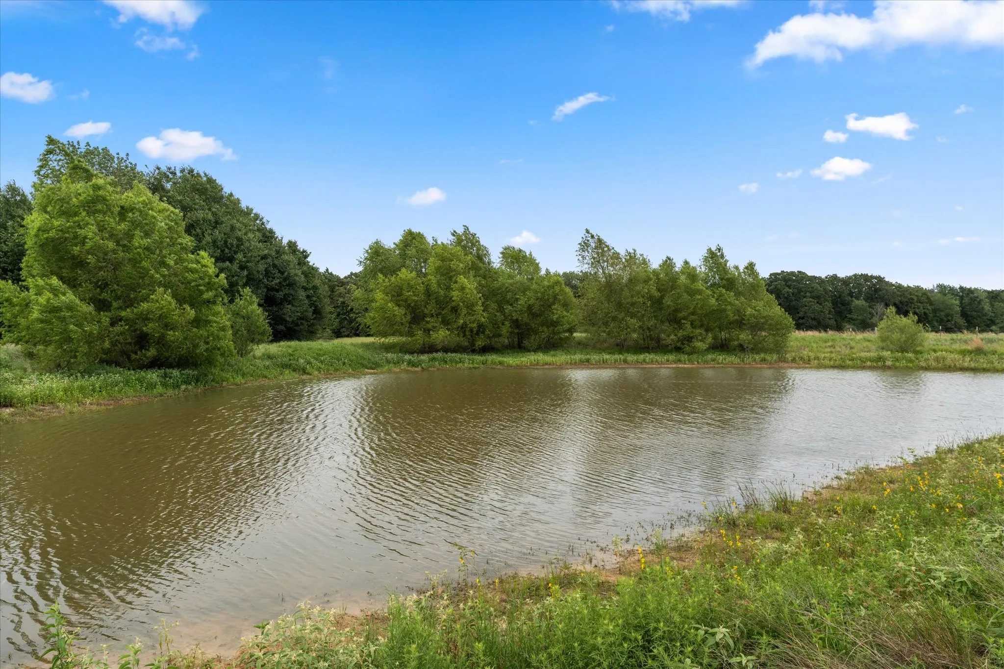 Improved Land For Sale in Navarro County , 1397 State Highway 309, Kerens, Texas 75144, 0, 0, Garage spaces, 0 Sqft, built in 2023, mls#21303879, Real Estate Agent in Kerens, Homes For Sale in Navarro county, Homes For Sale in Kerens, Realtor in Kerens Texas, Real Estate Brokerage Independent Realty Texas, Luminita Cordes Realtor