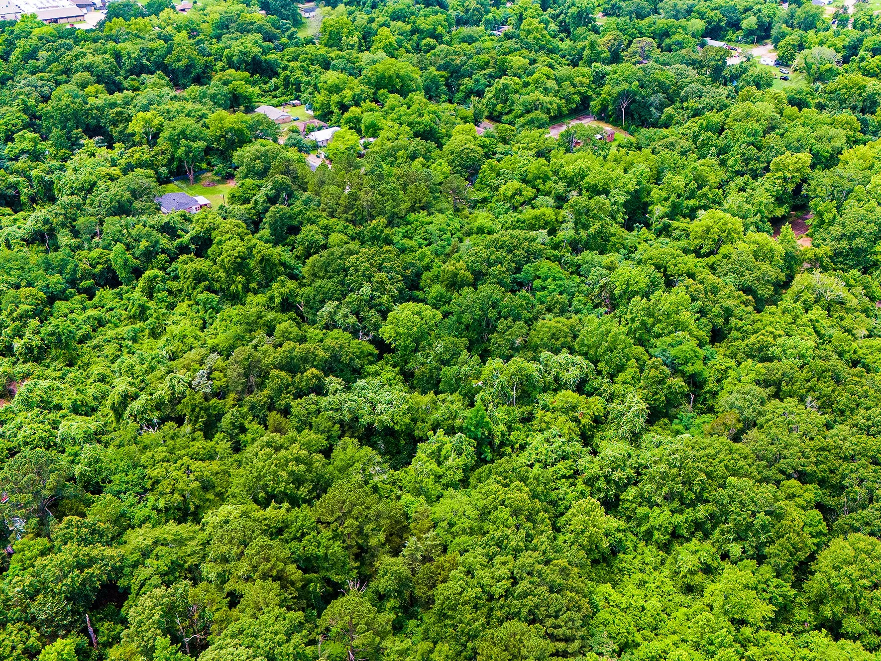 Improved Land For Sale in Anderson County , 0 Calhoun Street, Palestine, Texas 75801, 0, 0, Garage spaces, 0 Sqft, built in 0, mls#21303906, Real Estate Agent in Palestine, Homes For Sale in Anderson county, Homes For Sale in Palestine, Realtor in Palestine Texas, Real Estate Brokerage Independent Realty Texas, Luminita Cordes Realtor