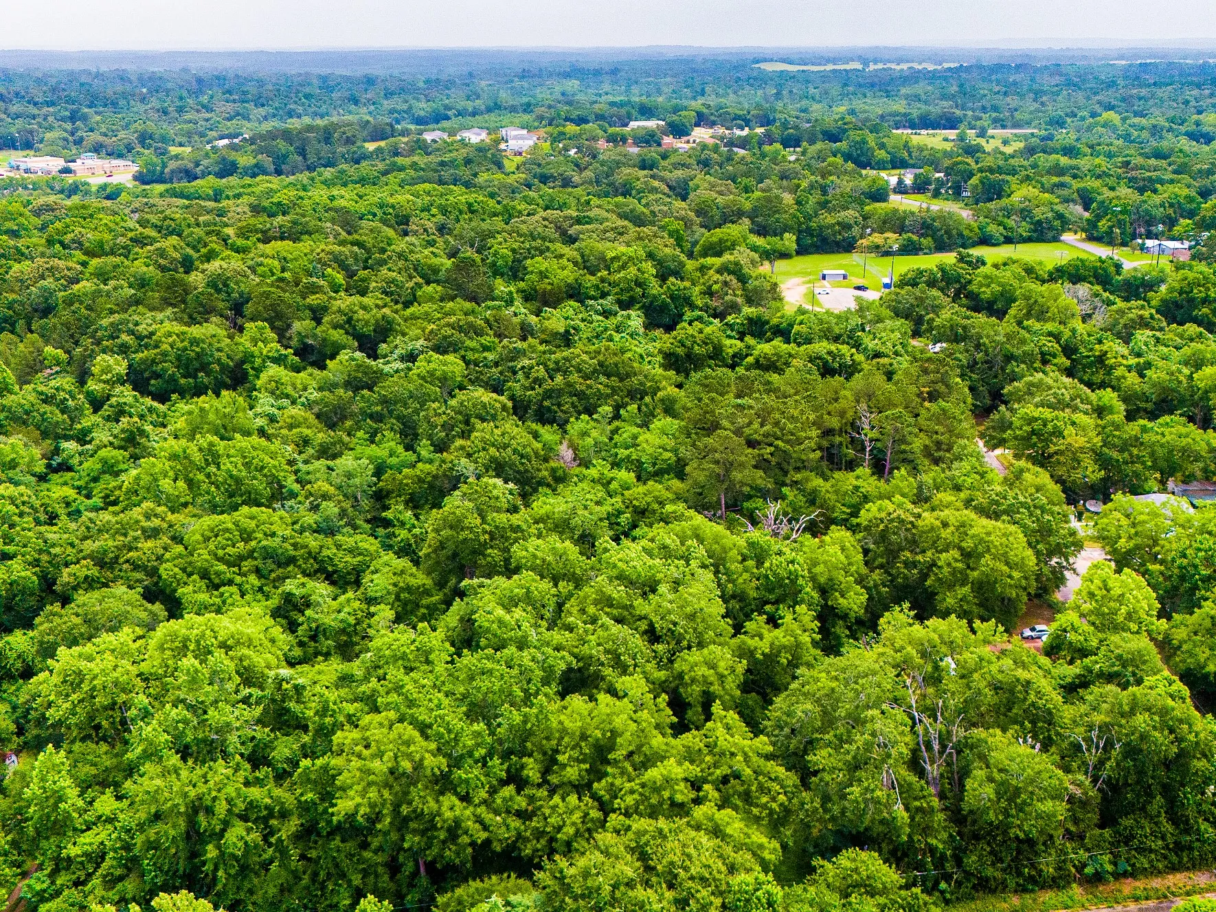 Improved Land For Sale in Anderson County , 0 Calhoun Street, Palestine, Texas 75801, 0, 0, Garage spaces, 0 Sqft, built in 0, mls#21303906, Real Estate Agent in Palestine, Homes For Sale in Anderson county, Homes For Sale in Palestine, Realtor in Palestine Texas, Real Estate Brokerage Independent Realty Texas, Luminita Cordes Realtor
