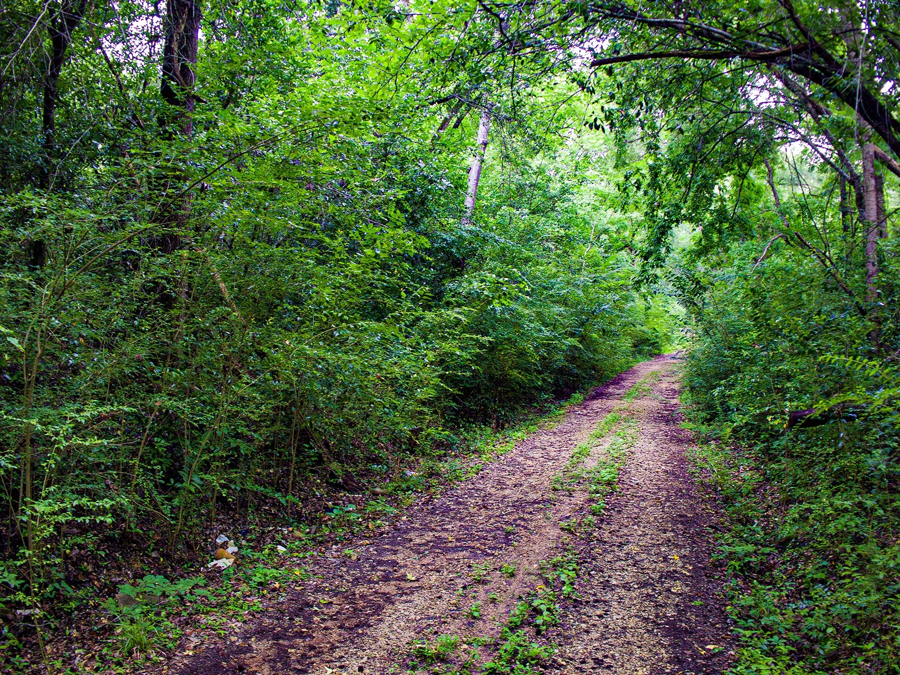 Improved Land For Sale in Anderson County , 0 Calhoun Street, Palestine, Texas 75801, 0, 0, Garage spaces, 0 Sqft, built in 0, mls#21303906, Real Estate Agent in Palestine, Homes For Sale in Anderson county, Homes For Sale in Palestine, Realtor in Palestine Texas, Real Estate Brokerage Independent Realty Texas, Luminita Cordes Realtor