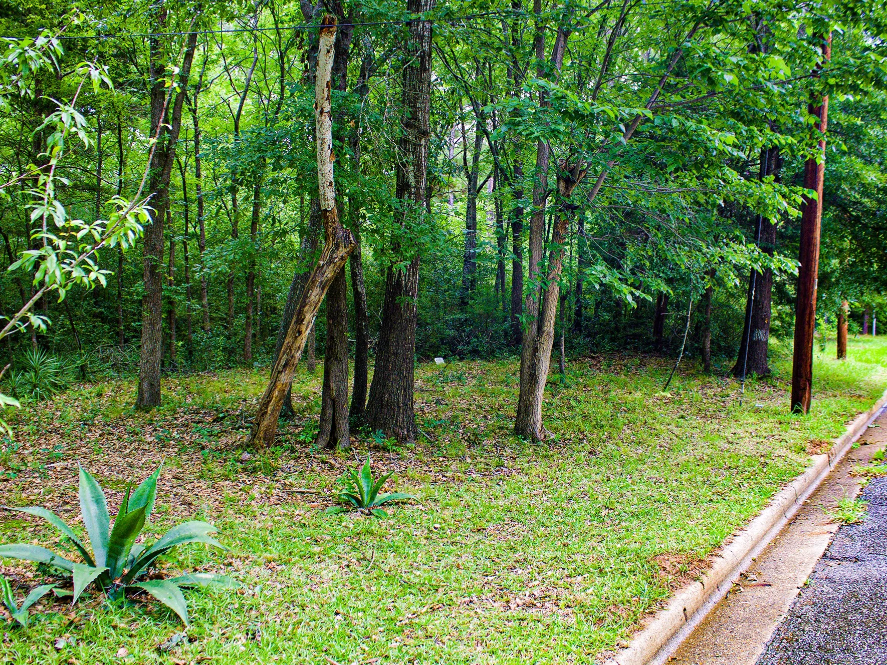 Improved Land For Sale in Anderson County , 0 Calhoun Street, Palestine, Texas 75801, 0, 0, Garage spaces, 0 Sqft, built in 0, mls#21303906, Real Estate Agent in Palestine, Homes For Sale in Anderson county, Homes For Sale in Palestine, Realtor in Palestine Texas, Real Estate Brokerage Independent Realty Texas, Luminita Cordes Realtor