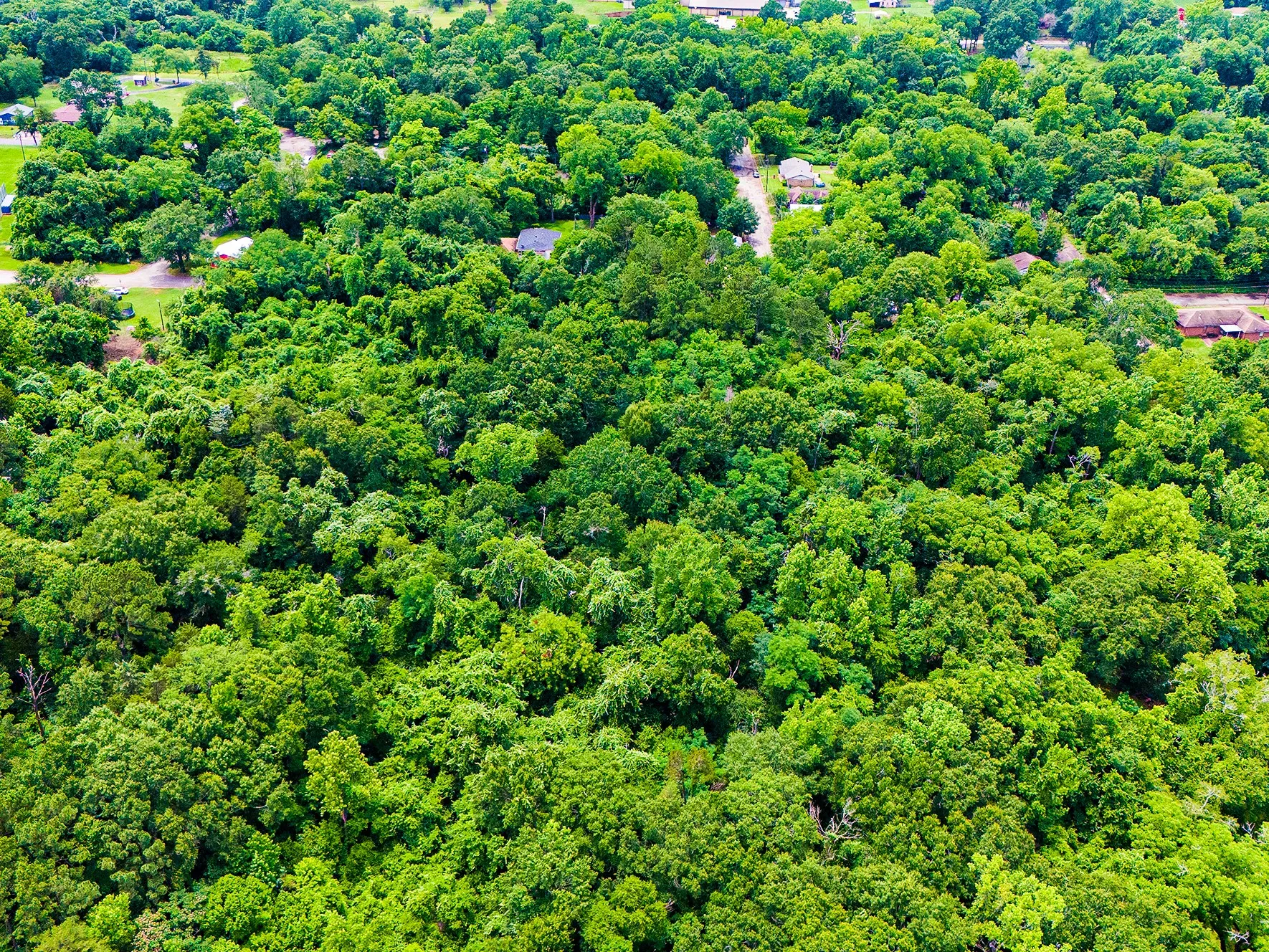 Improved Land For Sale in Anderson County , 0 Calhoun Street, Palestine, Texas 75801, 0, 0, Garage spaces, 0 Sqft, built in 0, mls#21303906, Real Estate Agent in Palestine, Homes For Sale in Anderson county, Homes For Sale in Palestine, Realtor in Palestine Texas, Real Estate Brokerage Independent Realty Texas, Luminita Cordes Realtor
