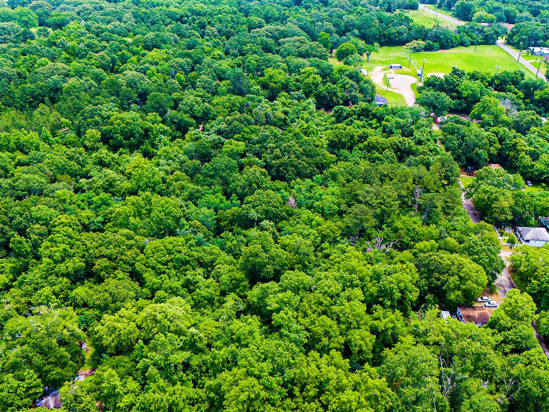 Improved Land For Sale in Anderson County , 0 Calhoun Street, Palestine, Texas 75801, 0, 0, Garage spaces, 0 Sqft, built in 0, mls#21303906, Real Estate Agent in Palestine, Homes For Sale in Anderson county, Homes For Sale in Palestine, Realtor in Palestine Texas, Real Estate Brokerage Independent Realty Texas, Luminita Cordes Realtor