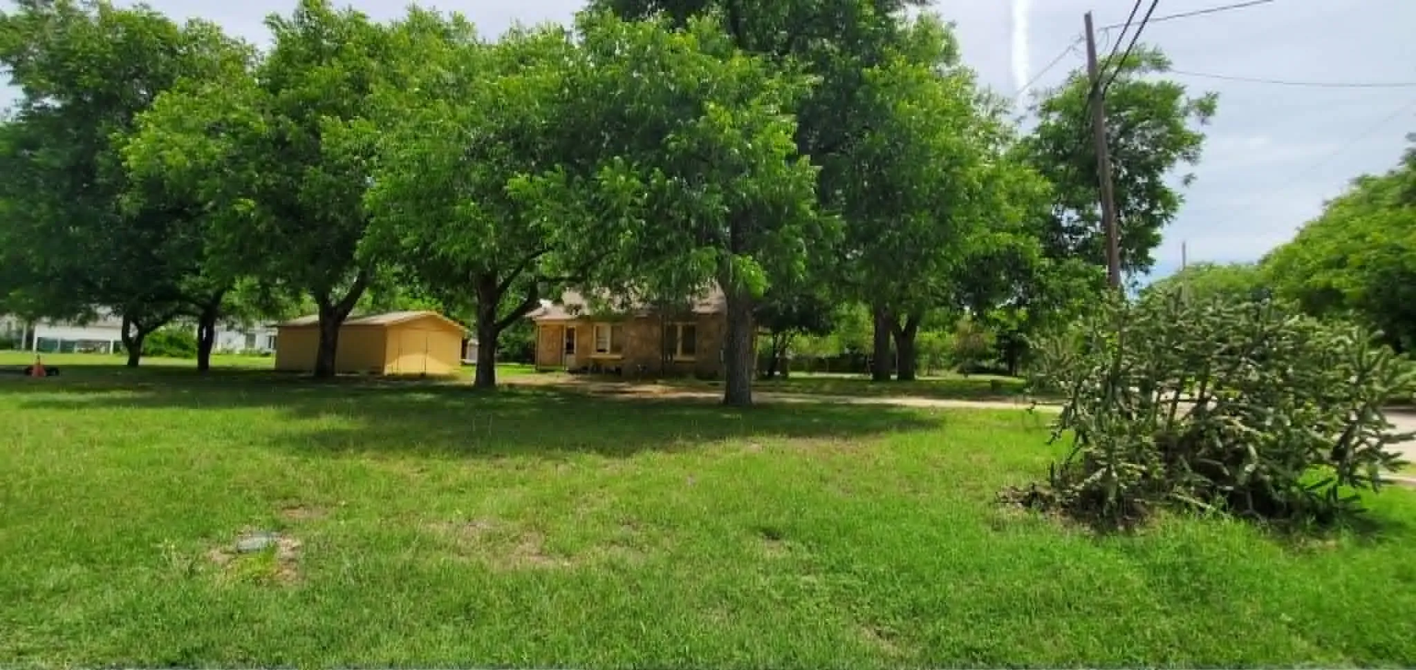 Large and level yard