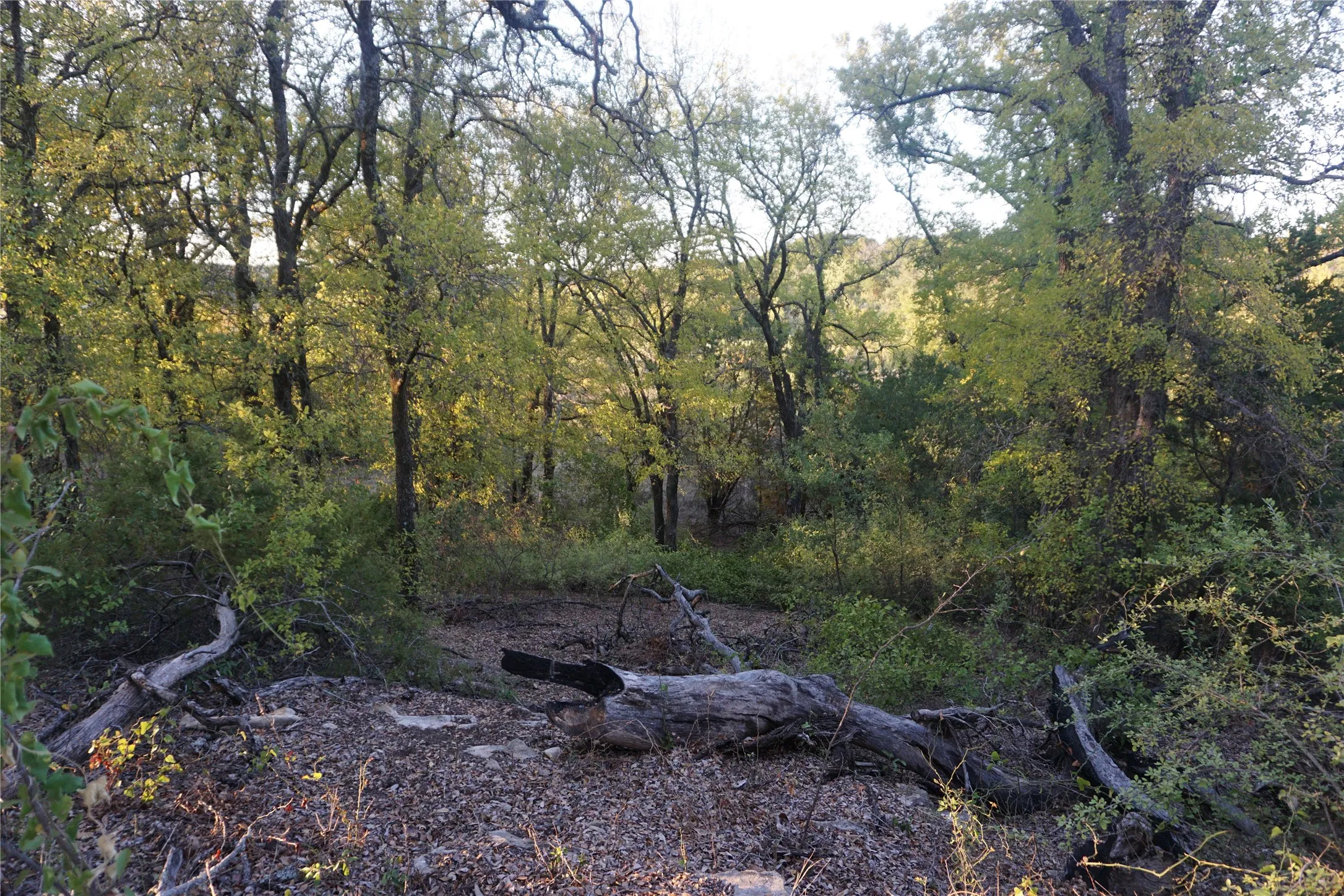 Come sit and enjoy the serenity of this acreage as you plan the layout for your dream home at PK Lake!