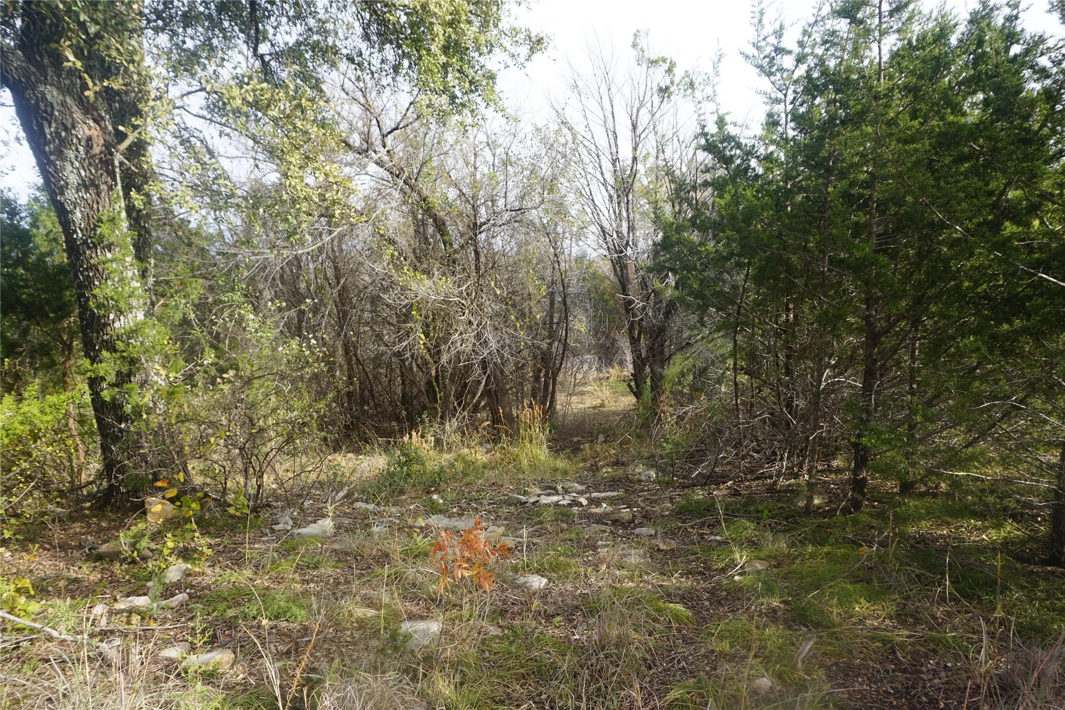 An opening on the front right of this property leads back to the dry creek bed and cleared area on the back of this property.