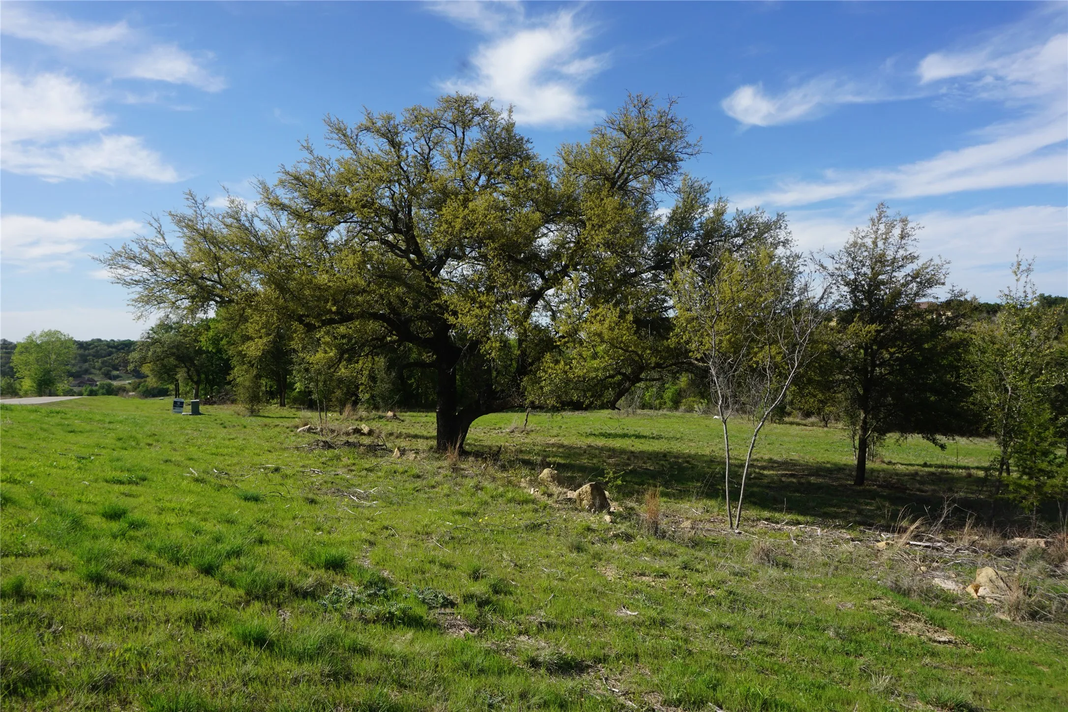 Gruond shot of the front part of this lot.  Many established native trees.