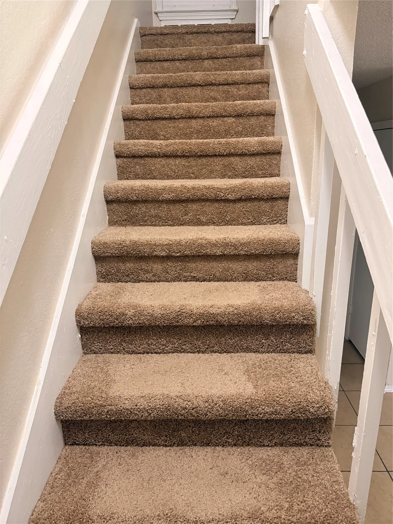 Carpeted staircase with white painted balustrade and neutral wall finishes