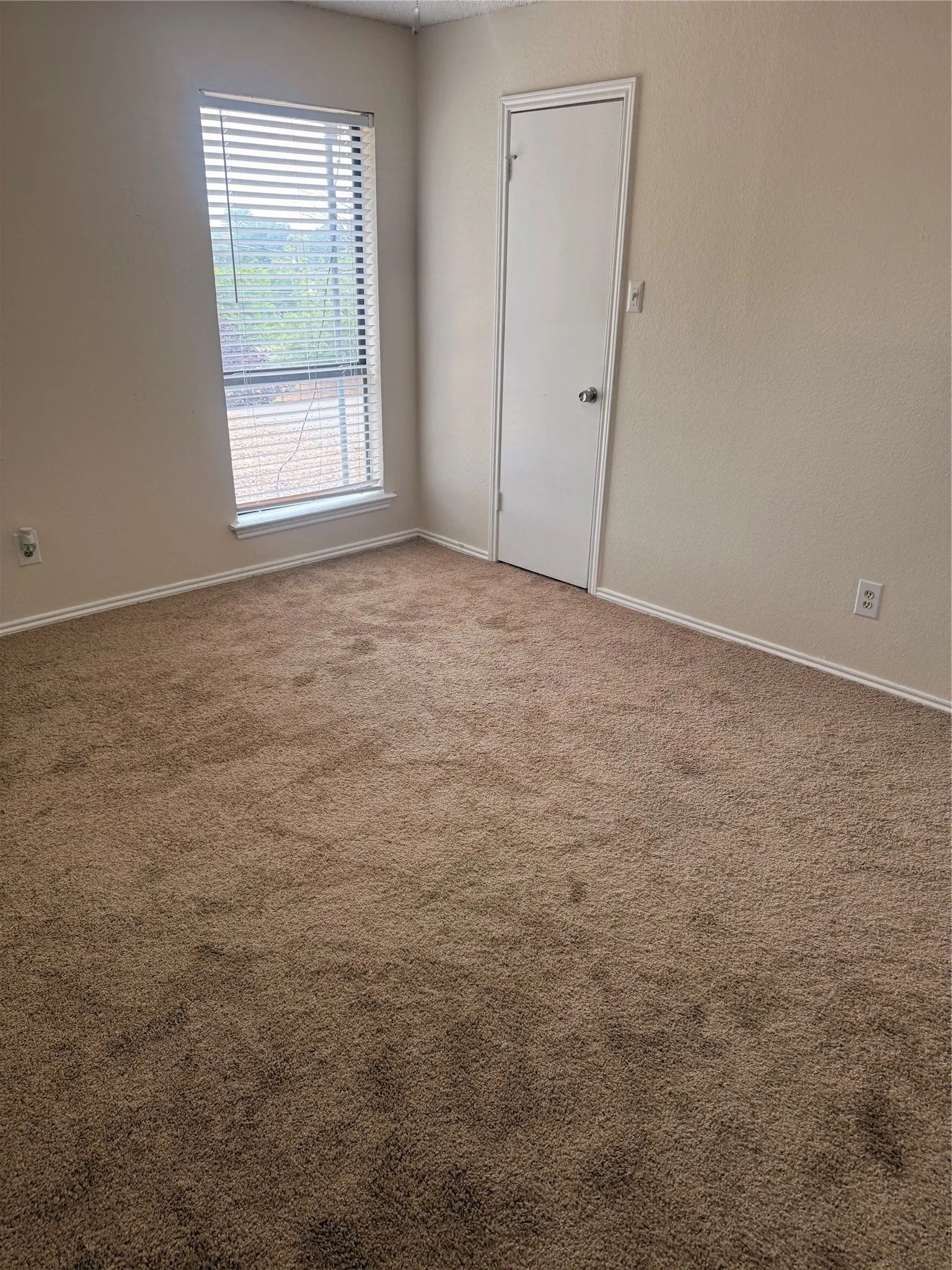 Carpeted room featuring a window with horizontal blinds, light-toned walls, white trim, and a white interior door