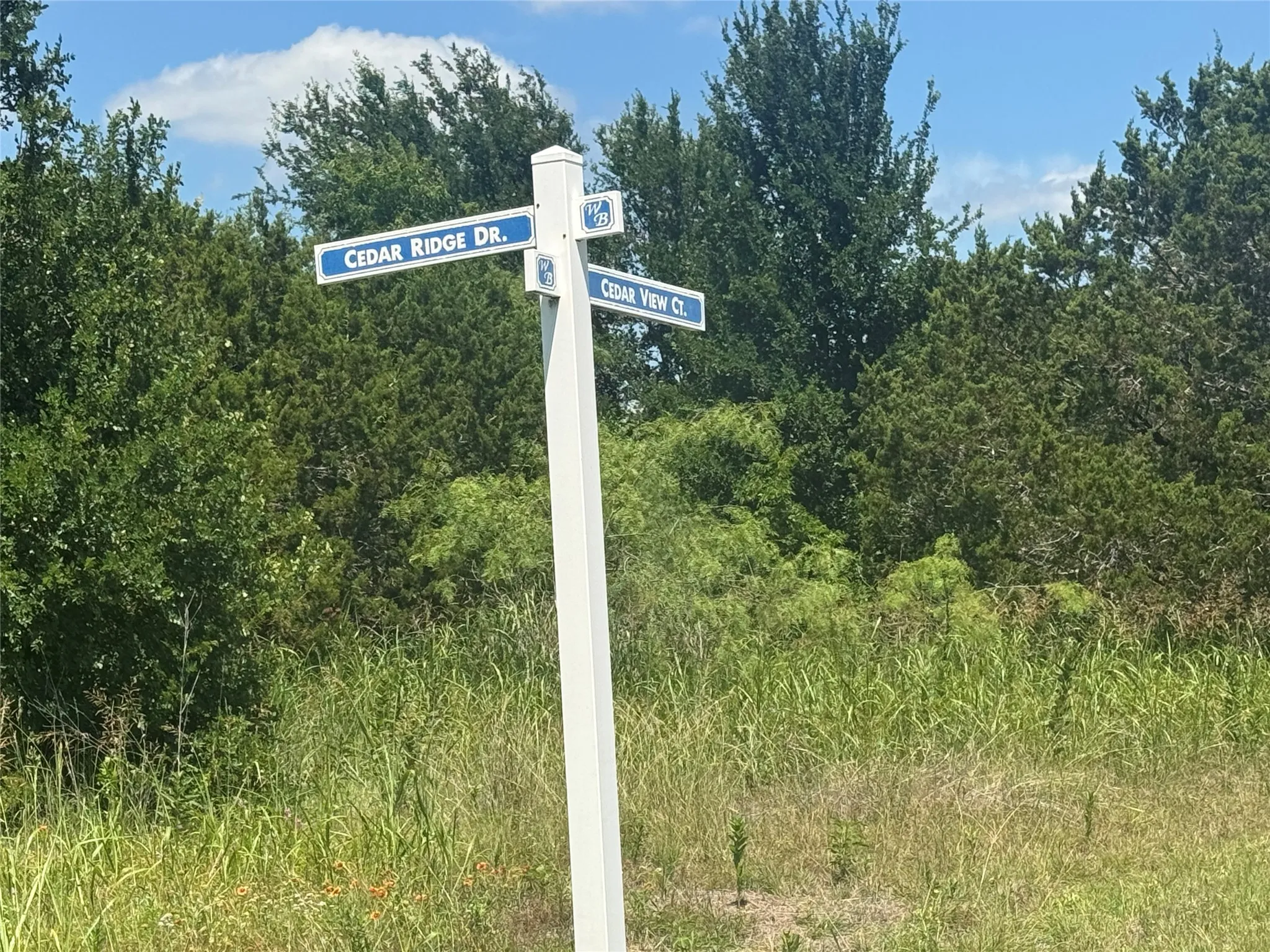 Unimproved Land For Sale in Hill County , 36059 Cedar Ridge Drive, Whitney, Texas 76692, 0, 0, Garage spaces, 0 Sqft, built in 0, Price $20,000, mls#21303989, Real Estate Agent in Whitney, Homes For Sale in Hill county, Homes For Sale in Whitney, Realtor in Whitney Texas, Real Estate Brokerage Independent Realty Texas, Luminita Cordes Realtor