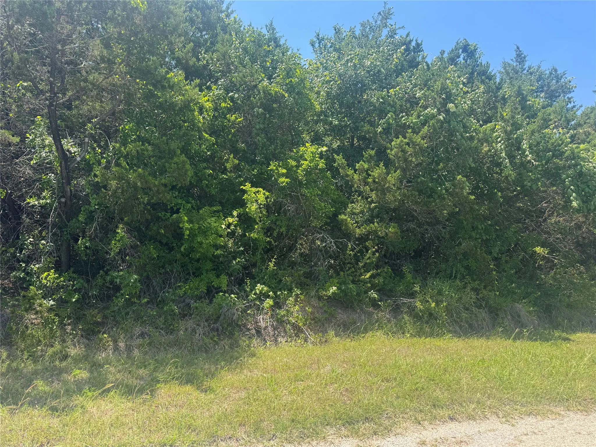 Unimproved Land For Sale in Hill County , 36059 Cedar Ridge Drive, Whitney, Texas 76692, 0, 0, Garage spaces, 0 Sqft, built in 0, Price $20,000, mls#21303989, Real Estate Agent in Whitney, Homes For Sale in Hill county, Homes For Sale in Whitney, Realtor in Whitney Texas, Real Estate Brokerage Independent Realty Texas, Luminita Cordes Realtor