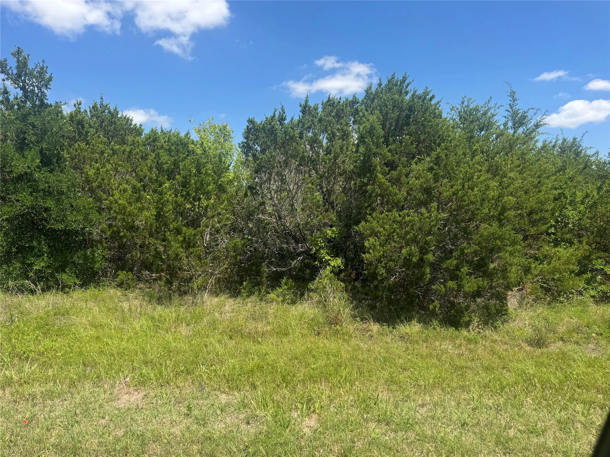 Unimproved Land For Sale in Hill County , 36059 Cedar Ridge Drive, Whitney, Texas 76692, 0, 0, Garage spaces, 0 Sqft, built in 0, Price $20,000, mls#21303989, Real Estate Agent in Whitney, Homes For Sale in Hill county, Homes For Sale in Whitney, Realtor in Whitney Texas, Real Estate Brokerage Independent Realty Texas, Luminita Cordes Realtor