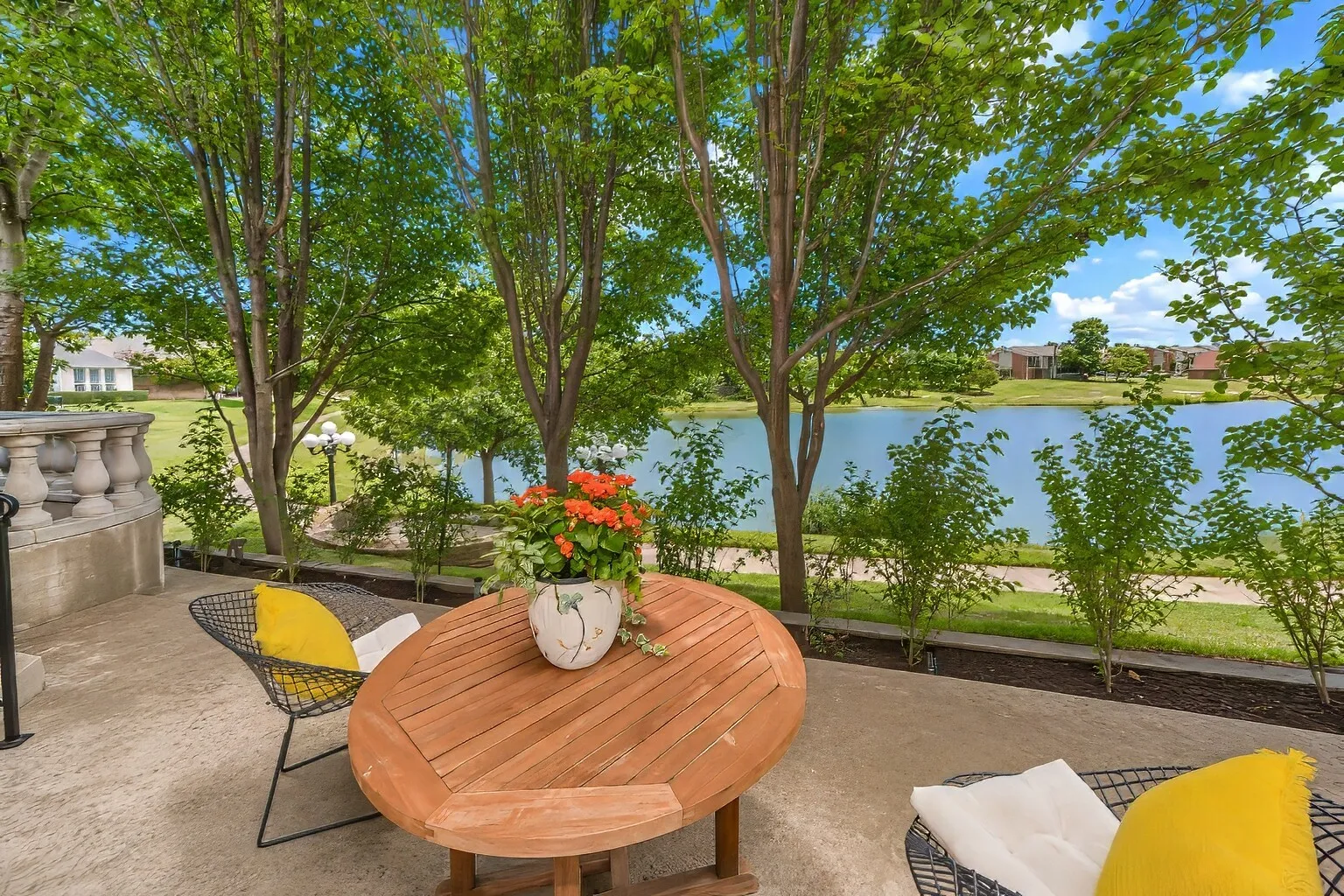 Views from kitchen and living room