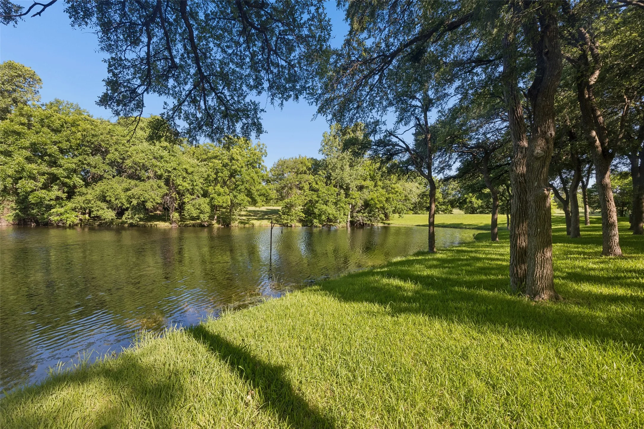 Pond #2