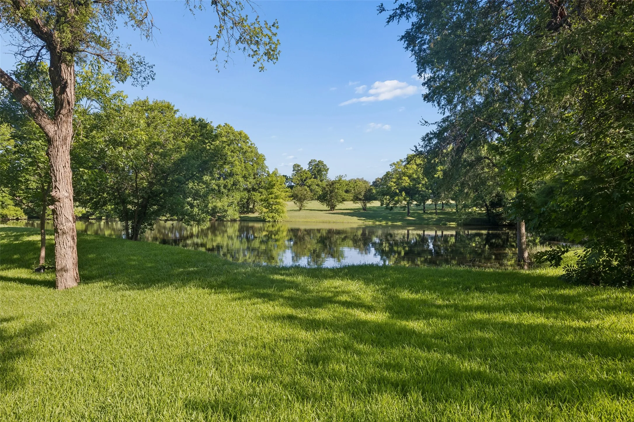 Pond #1