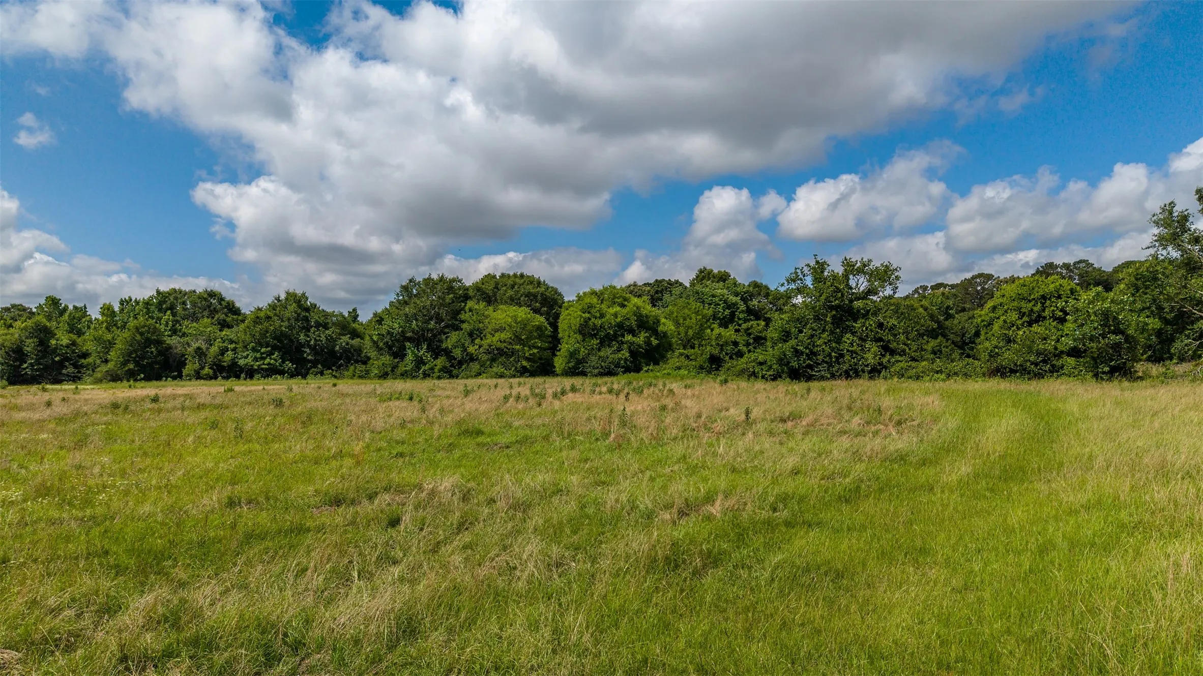 Unimproved Land For Sale in Smith County , 2280 County Road 129, Tyler, Texas 75703, 0, 0, Garage spaces, 0 Sqft, built in 0, Price $4,850,000, mls#21304049, Real Estate Agent in Tyler, Homes For Sale in Smith county, Homes For Sale in Tyler, Realtor in Tyler Texas, Real Estate Brokerage Independent Realty Texas, Luminita Cordes Realtor