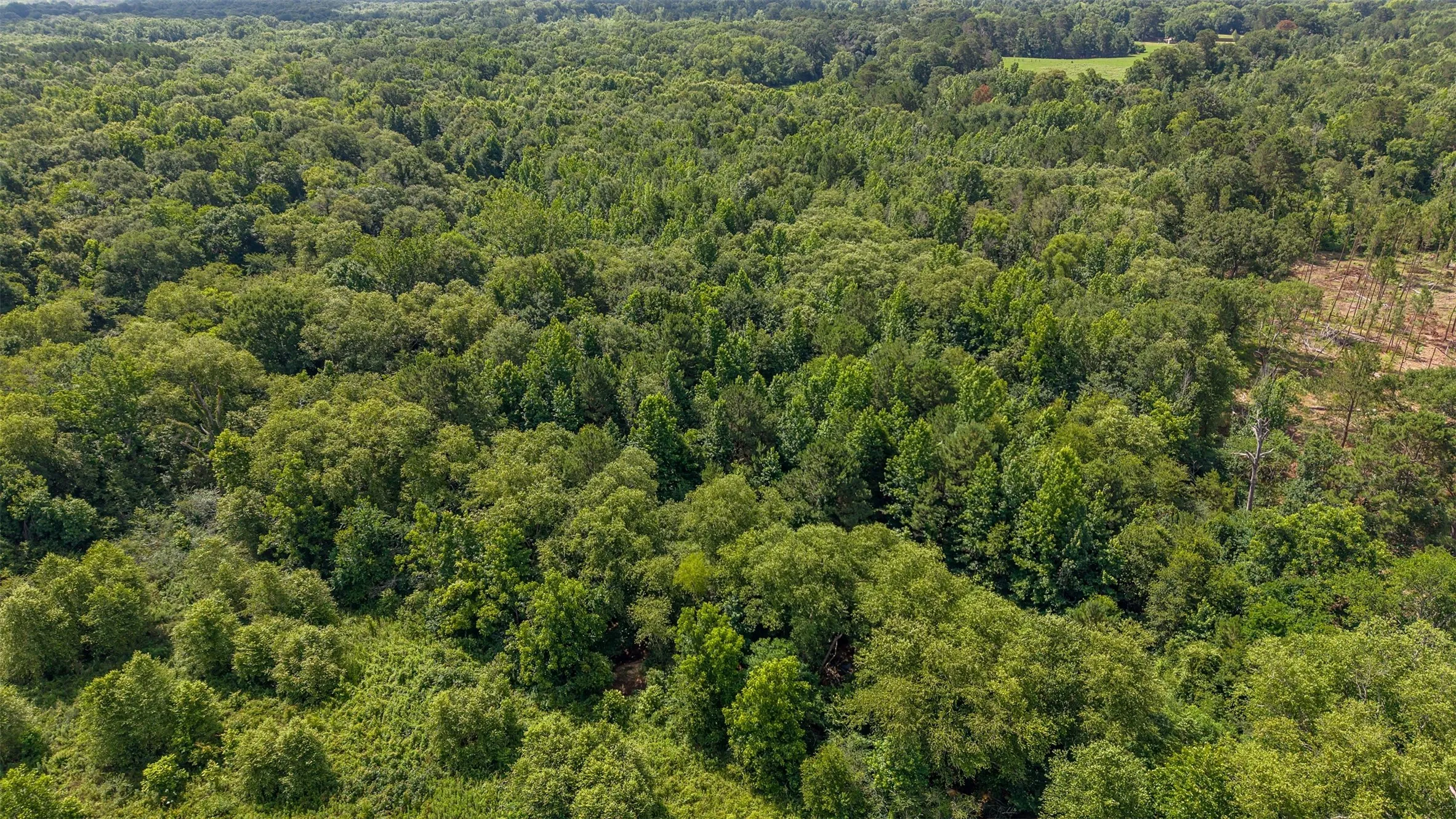 Unimproved Land For Sale in Smith County , 2280 County Road 129, Tyler, Texas 75703, 0, 0, Garage spaces, 0 Sqft, built in 0, Price $4,850,000, mls#21304049, Real Estate Agent in Tyler, Homes For Sale in Smith county, Homes For Sale in Tyler, Realtor in Tyler Texas, Real Estate Brokerage Independent Realty Texas, Luminita Cordes Realtor