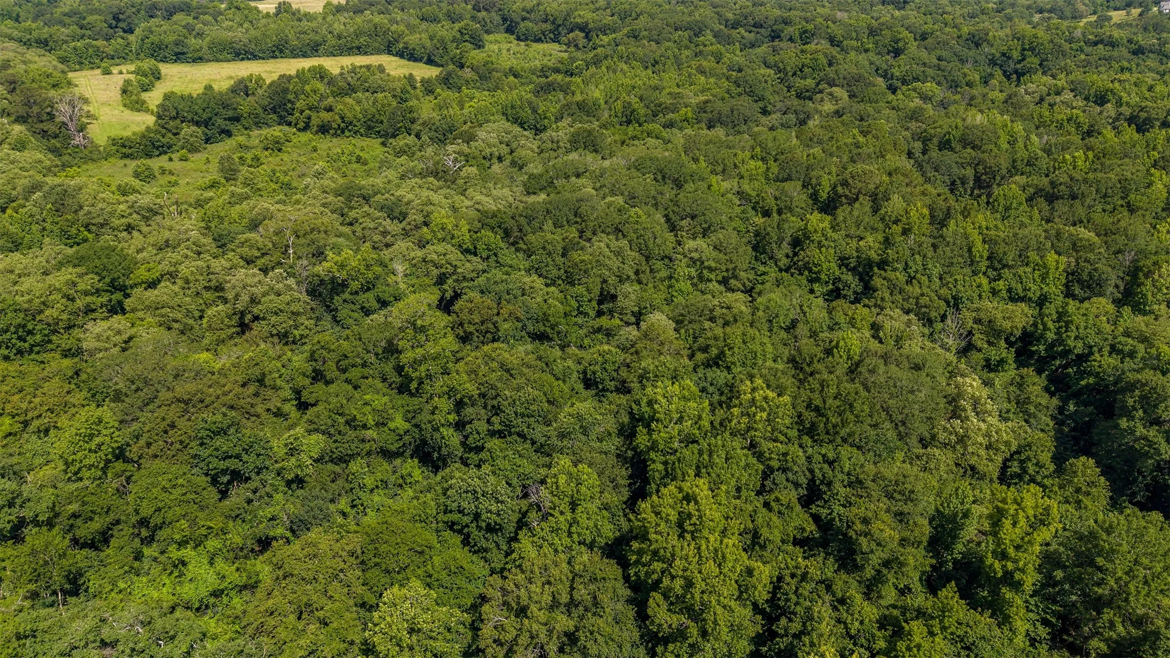 Unimproved Land For Sale in Smith County , 2280 County Road 129, Tyler, Texas 75703, 0, 0, Garage spaces, 0 Sqft, built in 0, Price $4,850,000, mls#21304049, Real Estate Agent in Tyler, Homes For Sale in Smith county, Homes For Sale in Tyler, Realtor in Tyler Texas, Real Estate Brokerage Independent Realty Texas, Luminita Cordes Realtor