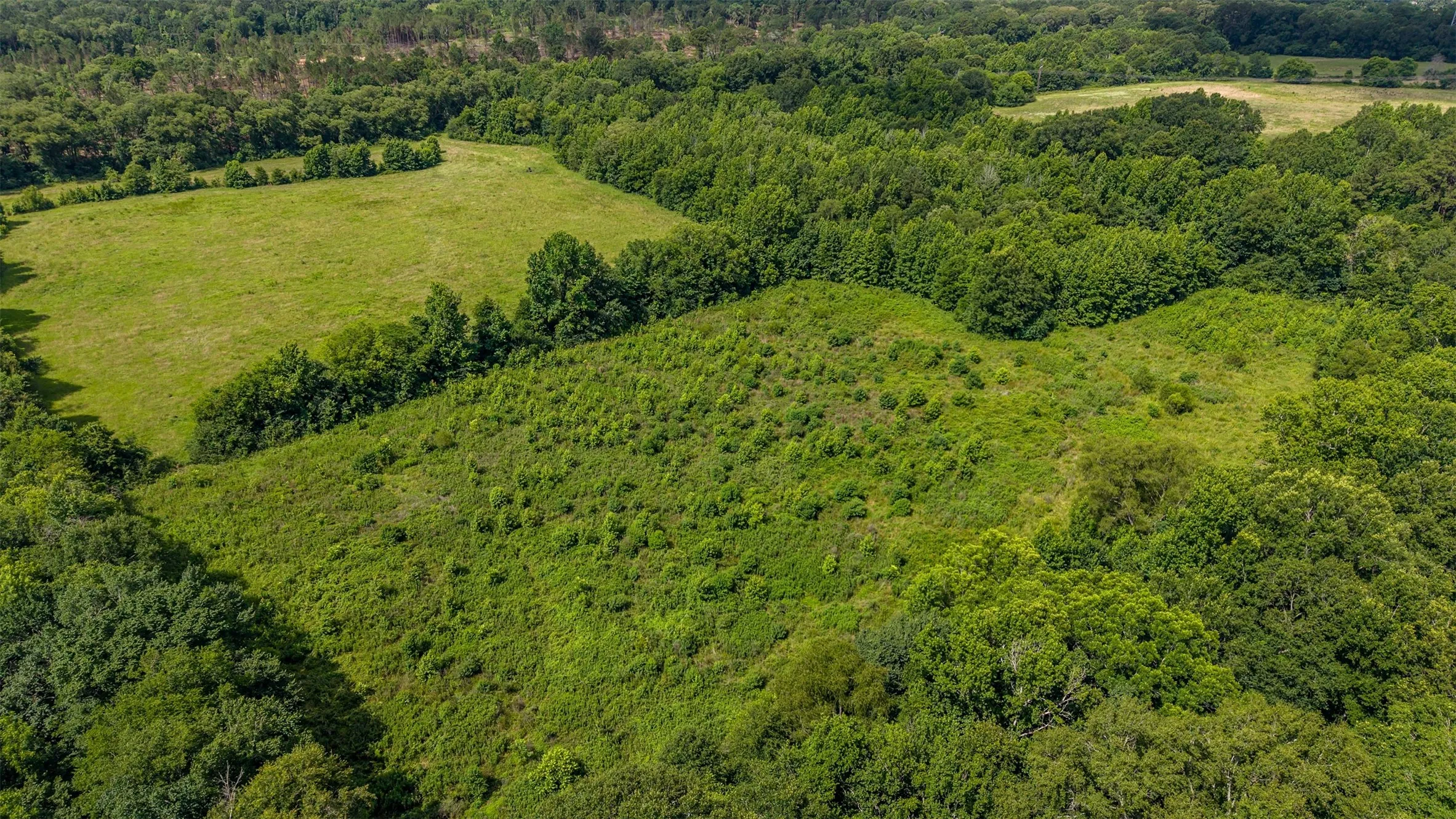 Unimproved Land For Sale in Smith County , 2280 County Road 129, Tyler, Texas 75703, 0, 0, Garage spaces, 0 Sqft, built in 0, Price $4,850,000, mls#21304049, Real Estate Agent in Tyler, Homes For Sale in Smith county, Homes For Sale in Tyler, Realtor in Tyler Texas, Real Estate Brokerage Independent Realty Texas, Luminita Cordes Realtor