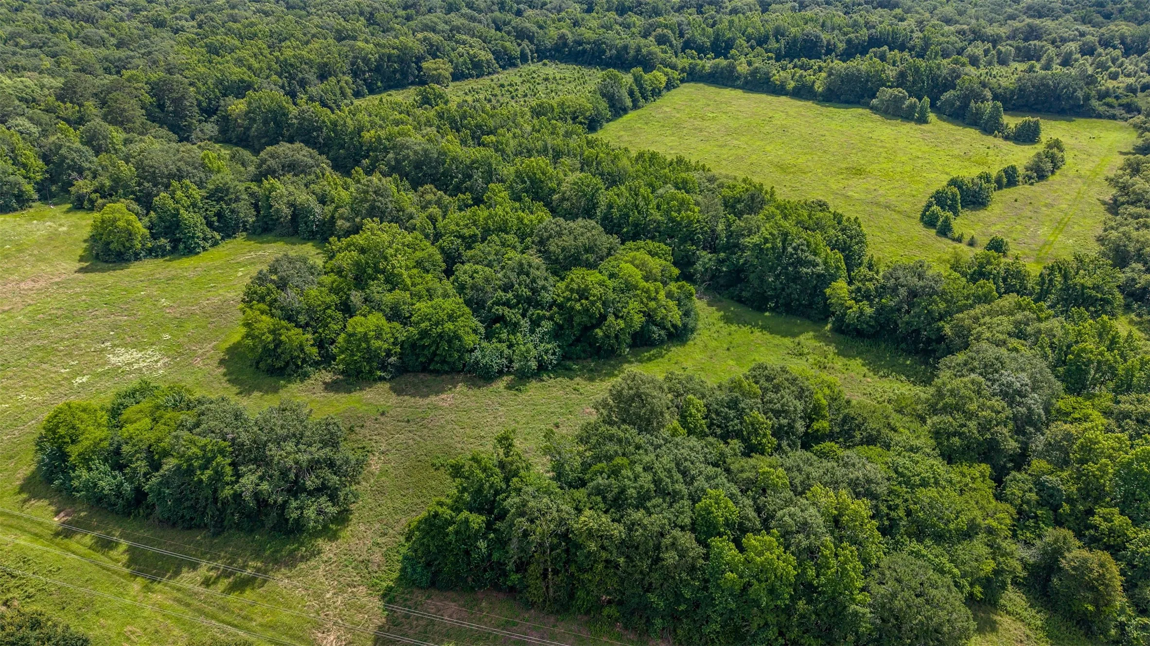 Unimproved Land For Sale in Smith County , 2280 County Road 129, Tyler, Texas 75703, 0, 0, Garage spaces, 0 Sqft, built in 0, Price $4,850,000, mls#21304049, Real Estate Agent in Tyler, Homes For Sale in Smith county, Homes For Sale in Tyler, Realtor in Tyler Texas, Real Estate Brokerage Independent Realty Texas, Luminita Cordes Realtor