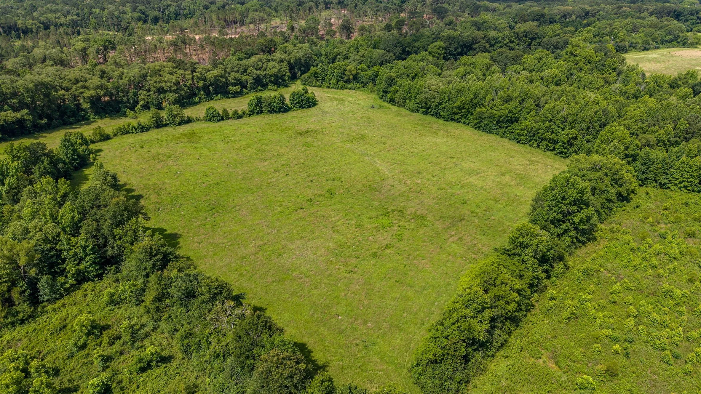 Unimproved Land For Sale in Smith County , 2280 County Road 129, Tyler, Texas 75703, 0, 0, Garage spaces, 0 Sqft, built in 0, Price $4,850,000, mls#21304049, Real Estate Agent in Tyler, Homes For Sale in Smith county, Homes For Sale in Tyler, Realtor in Tyler Texas, Real Estate Brokerage Independent Realty Texas, Luminita Cordes Realtor