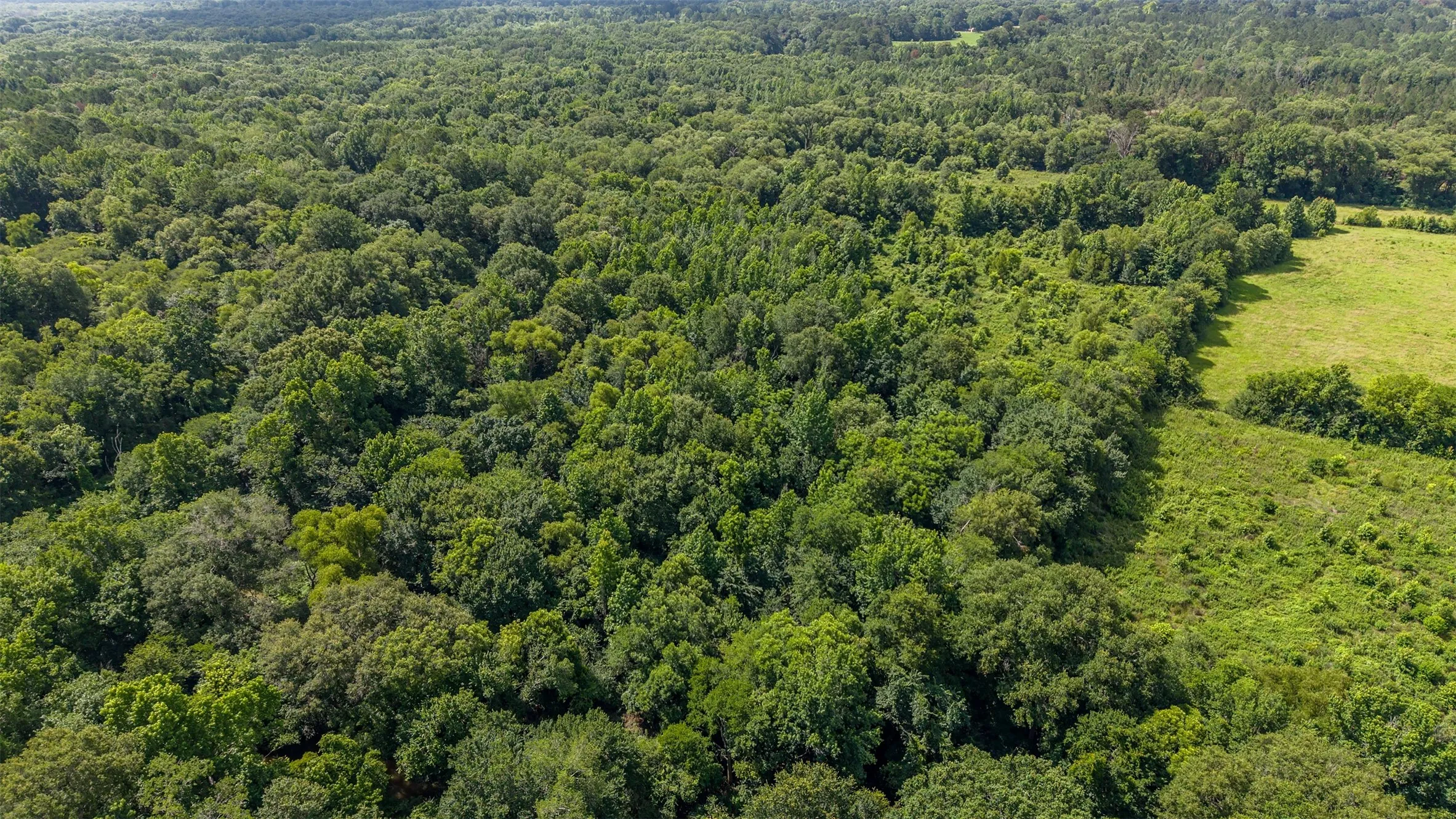 Unimproved Land For Sale in Smith County , 2280 County Road 129, Tyler, Texas 75703, 0, 0, Garage spaces, 0 Sqft, built in 0, Price $4,850,000, mls#21304049, Real Estate Agent in Tyler, Homes For Sale in Smith county, Homes For Sale in Tyler, Realtor in Tyler Texas, Real Estate Brokerage Independent Realty Texas, Luminita Cordes Realtor