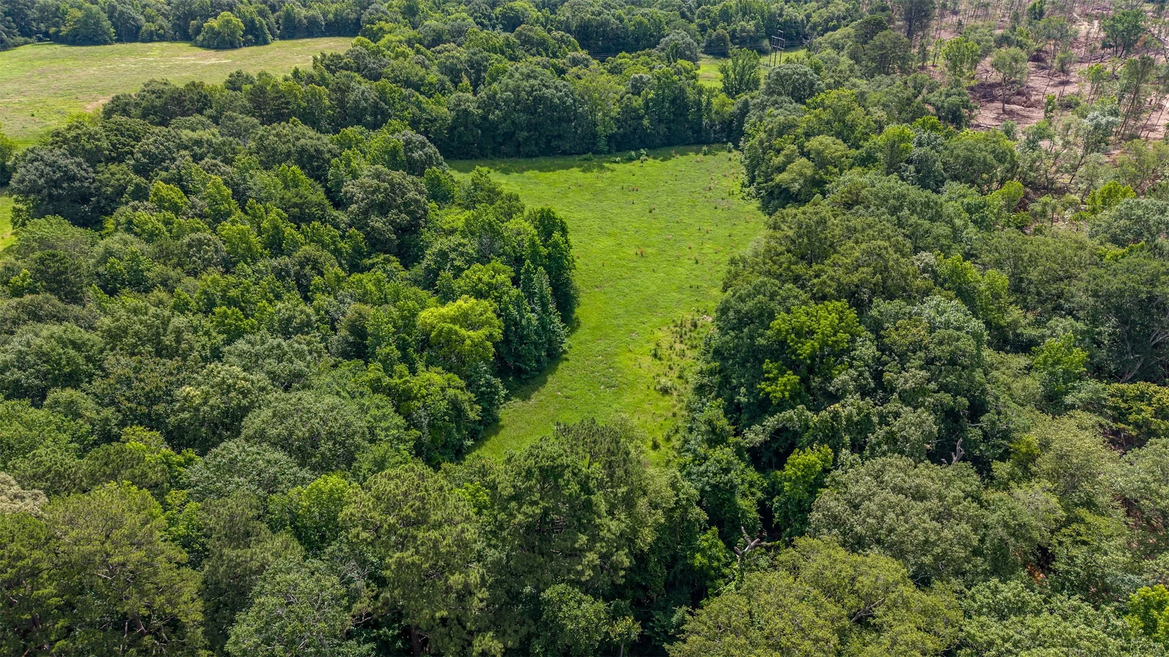 Unimproved Land For Sale in Smith County , 2280 County Road 129, Tyler, Texas 75703, 0, 0, Garage spaces, 0 Sqft, built in 0, Price $4,850,000, mls#21304049, Real Estate Agent in Tyler, Homes For Sale in Smith county, Homes For Sale in Tyler, Realtor in Tyler Texas, Real Estate Brokerage Independent Realty Texas, Luminita Cordes Realtor