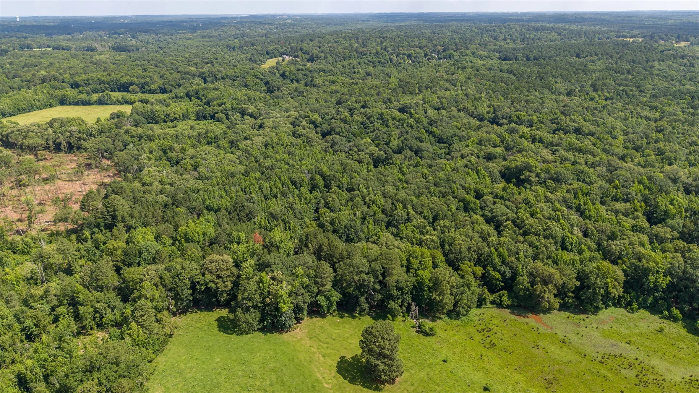 Unimproved Land For Sale in Smith County , 2280 County Road 129, Tyler, Texas 75703, 0, 0, Garage spaces, 0 Sqft, built in 0, Price $4,850,000, mls#21304049, Real Estate Agent in Tyler, Homes For Sale in Smith county, Homes For Sale in Tyler, Realtor in Tyler Texas, Real Estate Brokerage Independent Realty Texas, Luminita Cordes Realtor