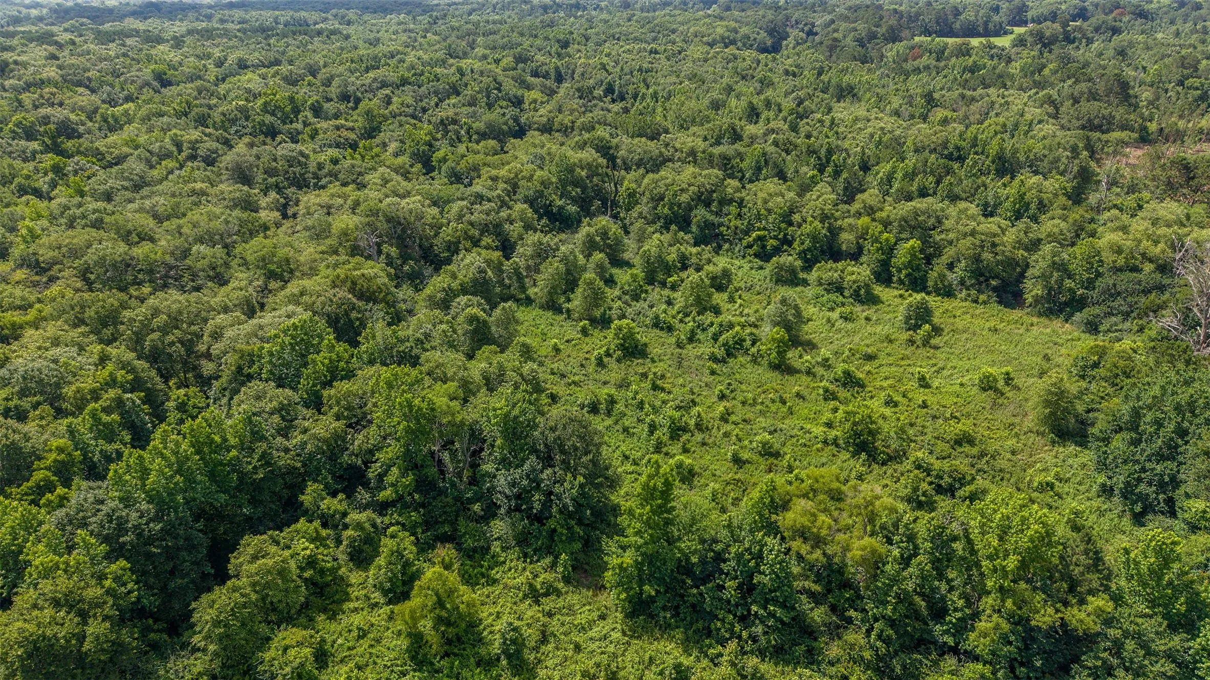 Unimproved Land For Sale in Smith County , 2280 County Road 129, Tyler, Texas 75703, 0, 0, Garage spaces, 0 Sqft, built in 0, Price $4,850,000, mls#21304049, Real Estate Agent in Tyler, Homes For Sale in Smith county, Homes For Sale in Tyler, Realtor in Tyler Texas, Real Estate Brokerage Independent Realty Texas, Luminita Cordes Realtor