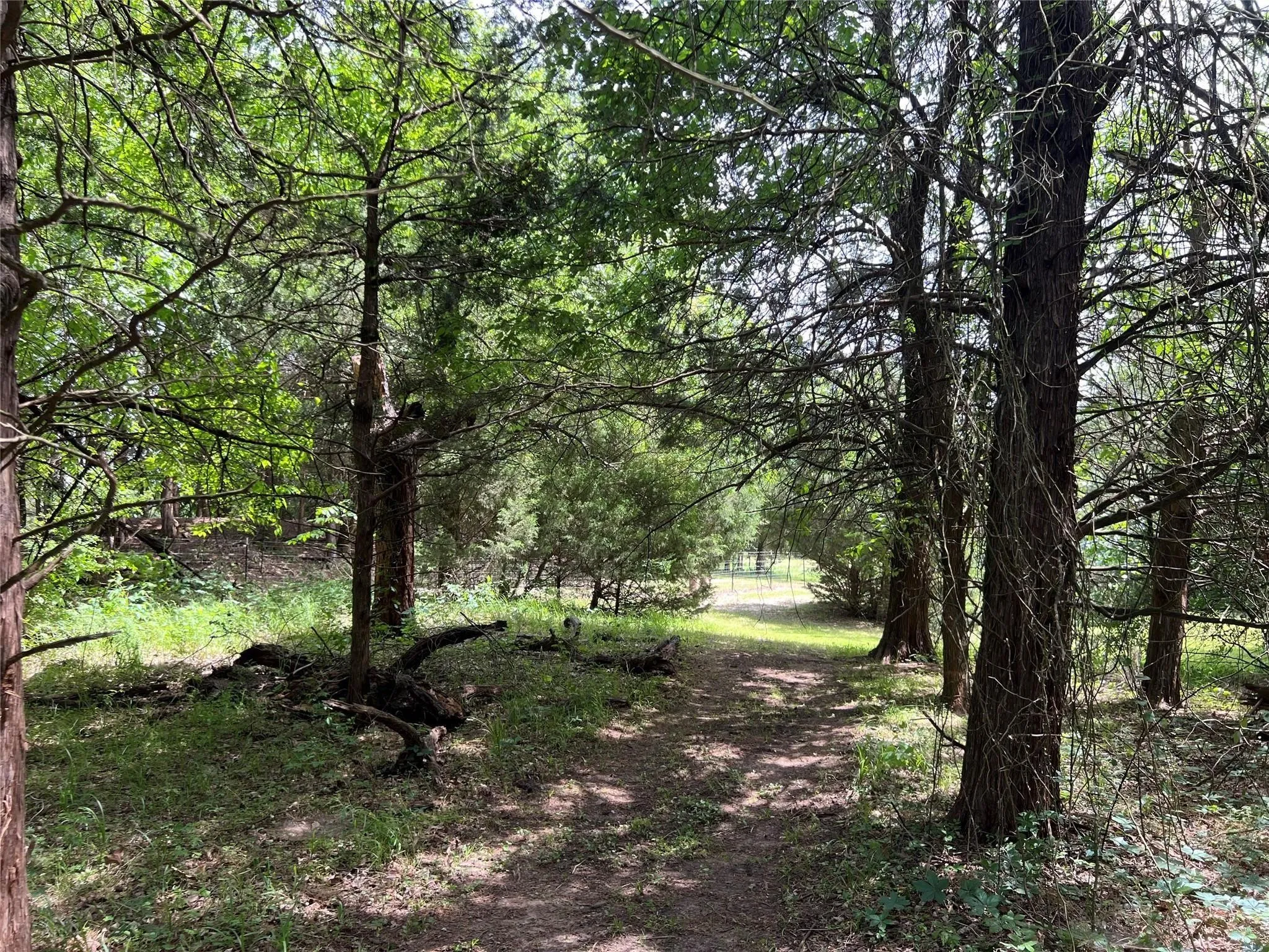 Unimproved Land For Sale in Van Zandt County , 3063 VZ County Road 3810, Wills Point, Texas 75169, 0, 0, Garage spaces, 0 Sqft, built in 0, mls#21303561, Real Estate Agent in Wills Point, Homes For Sale in Van Zandt county, Homes For Sale in Wills Point, Realtor in Wills Point Texas, Real Estate Brokerage Independent Realty Texas, Luminita Cordes Realtor