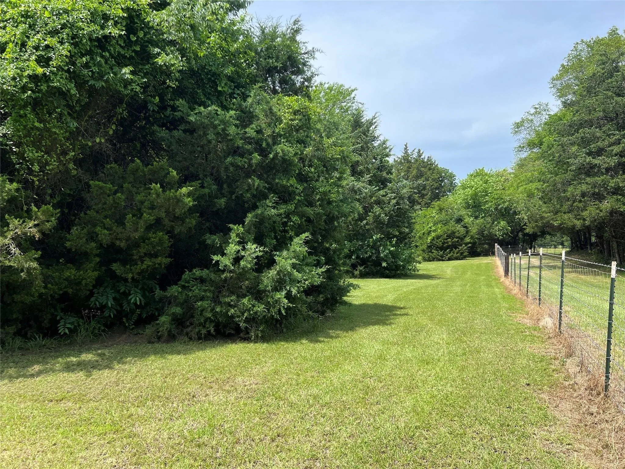 Unimproved Land For Sale in Van Zandt County , 3063 VZ County Road 3810, Wills Point, Texas 75169, 0, 0, Garage spaces, 0 Sqft, built in 0, mls#21303561, Real Estate Agent in Wills Point, Homes For Sale in Van Zandt county, Homes For Sale in Wills Point, Realtor in Wills Point Texas, Real Estate Brokerage Independent Realty Texas, Luminita Cordes Realtor