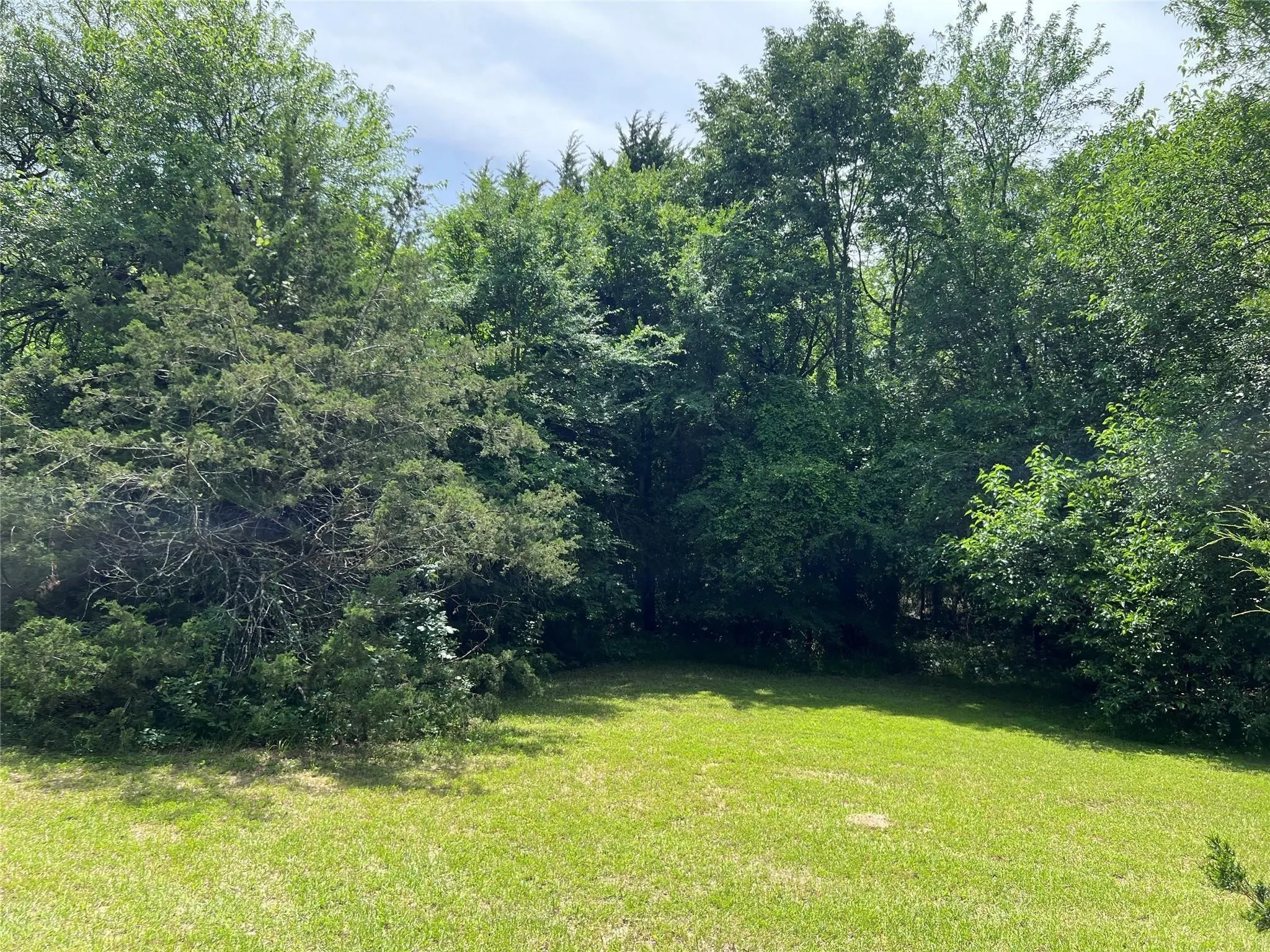 Unimproved Land For Sale in Van Zandt County , 3063 VZ County Road 3810, Wills Point, Texas 75169, 0, 0, Garage spaces, 0 Sqft, built in 0, mls#21303561, Real Estate Agent in Wills Point, Homes For Sale in Van Zandt county, Homes For Sale in Wills Point, Realtor in Wills Point Texas, Real Estate Brokerage Independent Realty Texas, Luminita Cordes Realtor