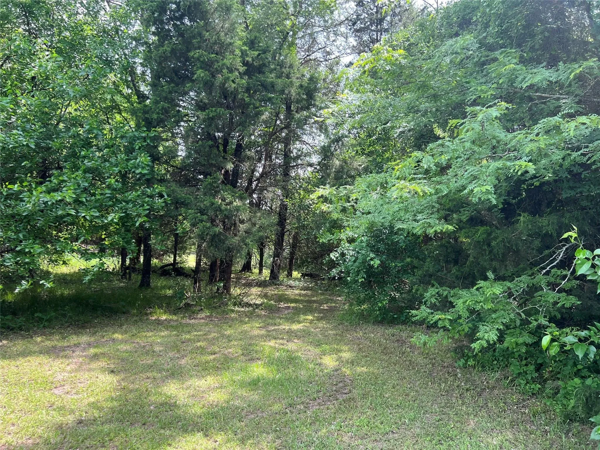Unimproved Land For Sale in Van Zandt County , 3063 VZ County Road 3810, Wills Point, Texas 75169, 0, 0, Garage spaces, 0 Sqft, built in 0, mls#21303561, Real Estate Agent in Wills Point, Homes For Sale in Van Zandt county, Homes For Sale in Wills Point, Realtor in Wills Point Texas, Real Estate Brokerage Independent Realty Texas, Luminita Cordes Realtor