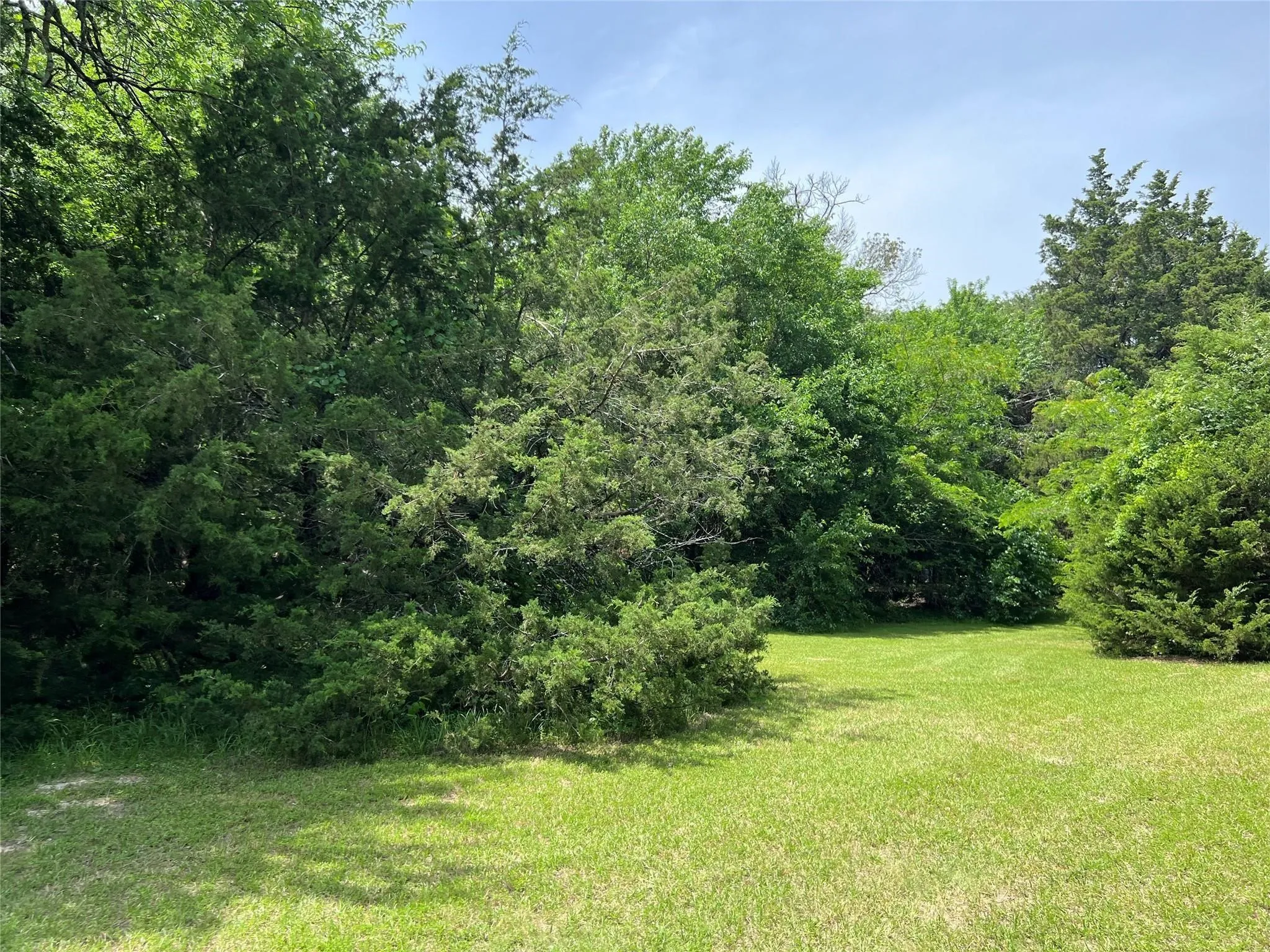 Unimproved Land For Sale in Van Zandt County , 3063 VZ County Road 3810, Wills Point, Texas 75169, 0, 0, Garage spaces, 0 Sqft, built in 0, mls#21303561, Real Estate Agent in Wills Point, Homes For Sale in Van Zandt county, Homes For Sale in Wills Point, Realtor in Wills Point Texas, Real Estate Brokerage Independent Realty Texas, Luminita Cordes Realtor