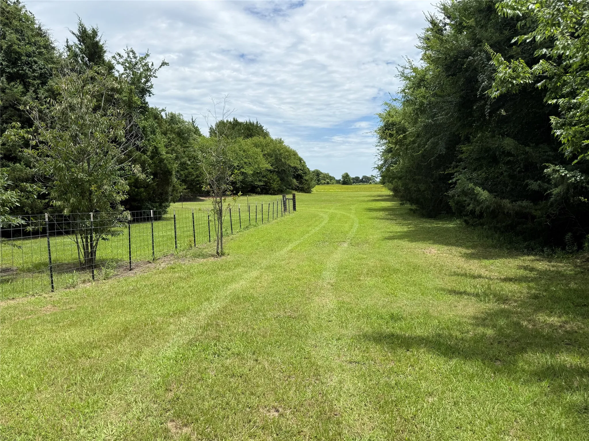 Unimproved Land For Sale in Van Zandt County , 3063 VZ County Road 3810, Wills Point, Texas 75169, 0, 0, Garage spaces, 0 Sqft, built in 0, mls#21303561, Real Estate Agent in Wills Point, Homes For Sale in Van Zandt county, Homes For Sale in Wills Point, Realtor in Wills Point Texas, Real Estate Brokerage Independent Realty Texas, Luminita Cordes Realtor