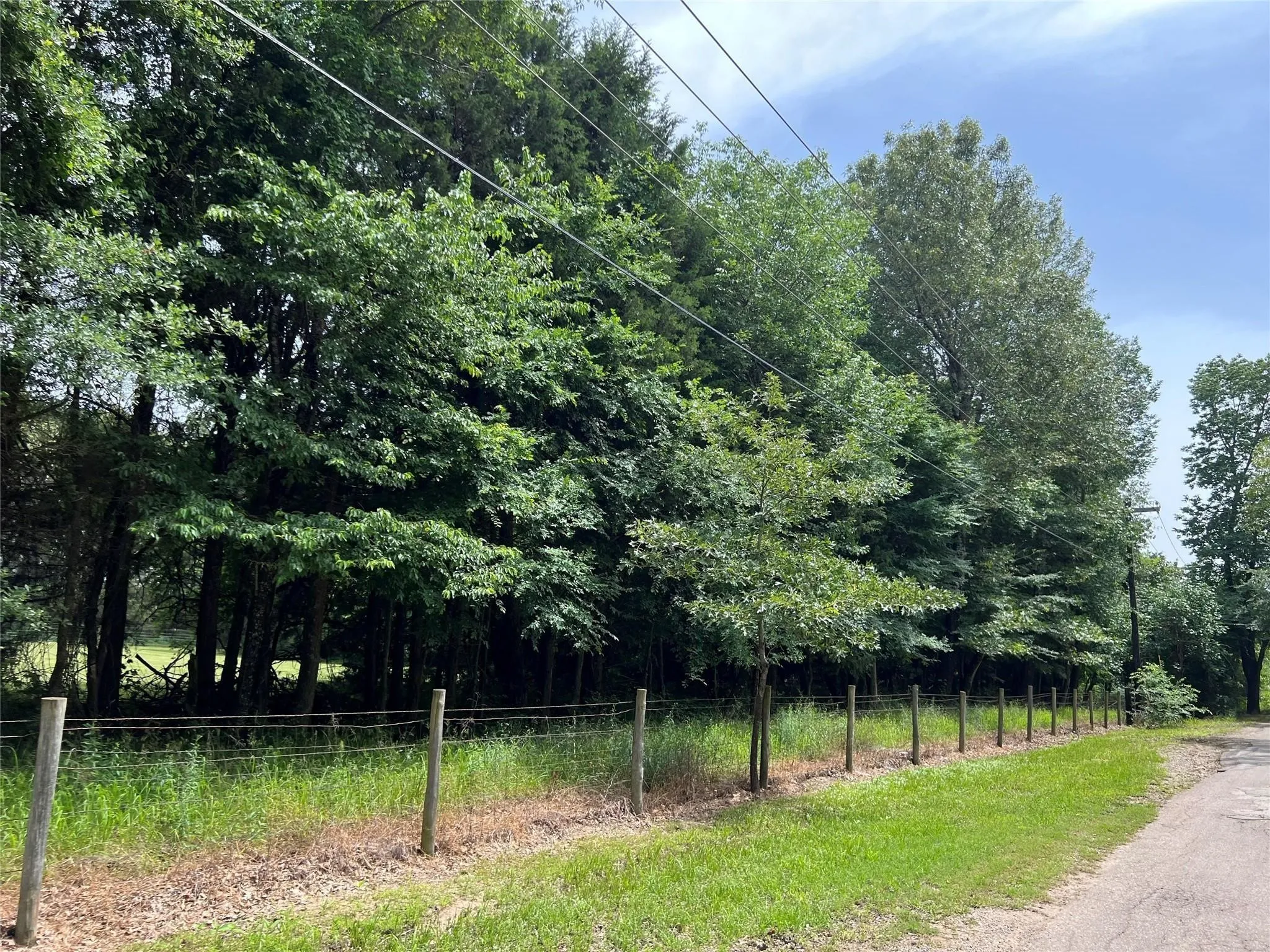 Unimproved Land For Sale in Van Zandt County , 3063 VZ County Road 3810, Wills Point, Texas 75169, 0, 0, Garage spaces, 0 Sqft, built in 0, mls#21303561, Real Estate Agent in Wills Point, Homes For Sale in Van Zandt county, Homes For Sale in Wills Point, Realtor in Wills Point Texas, Real Estate Brokerage Independent Realty Texas, Luminita Cordes Realtor