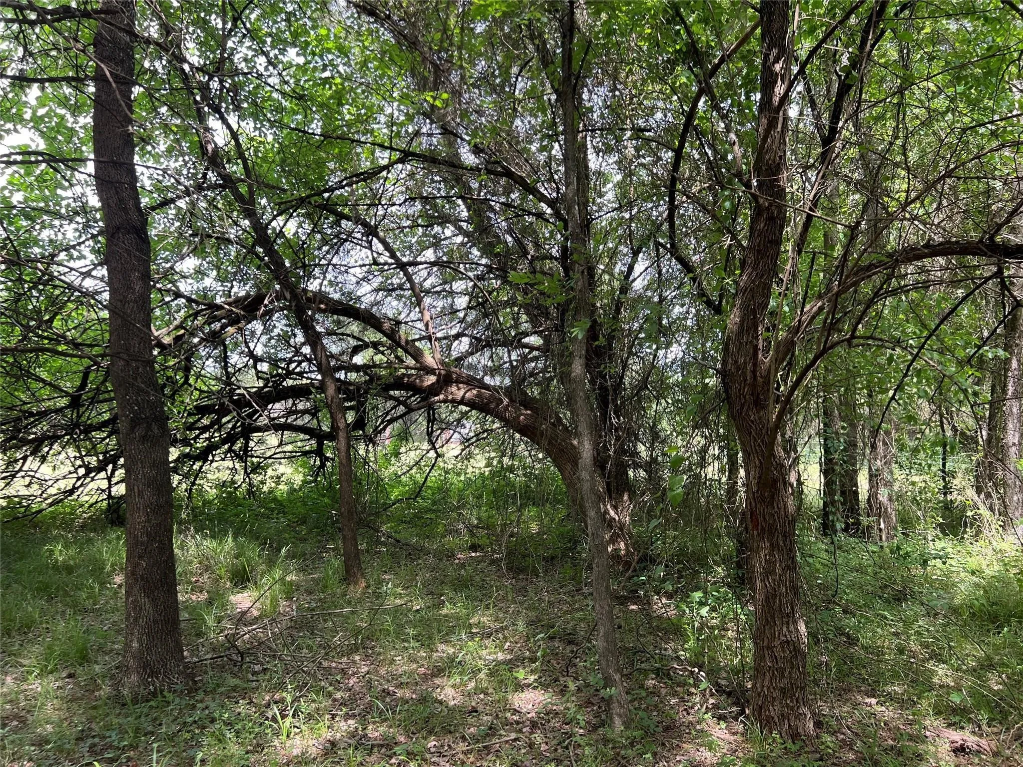 Unimproved Land For Sale in Van Zandt County , 3063 VZ County Road 3810, Wills Point, Texas 75169, 0, 0, Garage spaces, 0 Sqft, built in 0, mls#21303561, Real Estate Agent in Wills Point, Homes For Sale in Van Zandt county, Homes For Sale in Wills Point, Realtor in Wills Point Texas, Real Estate Brokerage Independent Realty Texas, Luminita Cordes Realtor