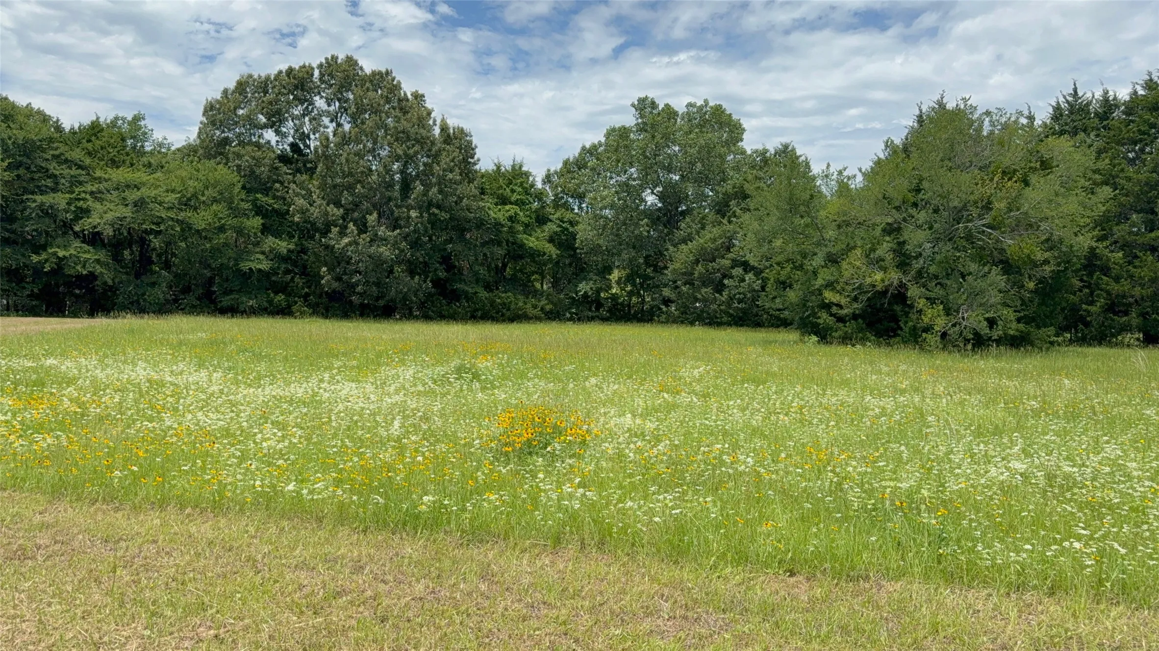 Unimproved Land For Sale in Van Zandt County , 3063 VZ County Road 3810, Wills Point, Texas 75169, 0, 0, Garage spaces, 0 Sqft, built in 0, mls#21303561, Real Estate Agent in Wills Point, Homes For Sale in Van Zandt county, Homes For Sale in Wills Point, Realtor in Wills Point Texas, Real Estate Brokerage Independent Realty Texas, Luminita Cordes Realtor
