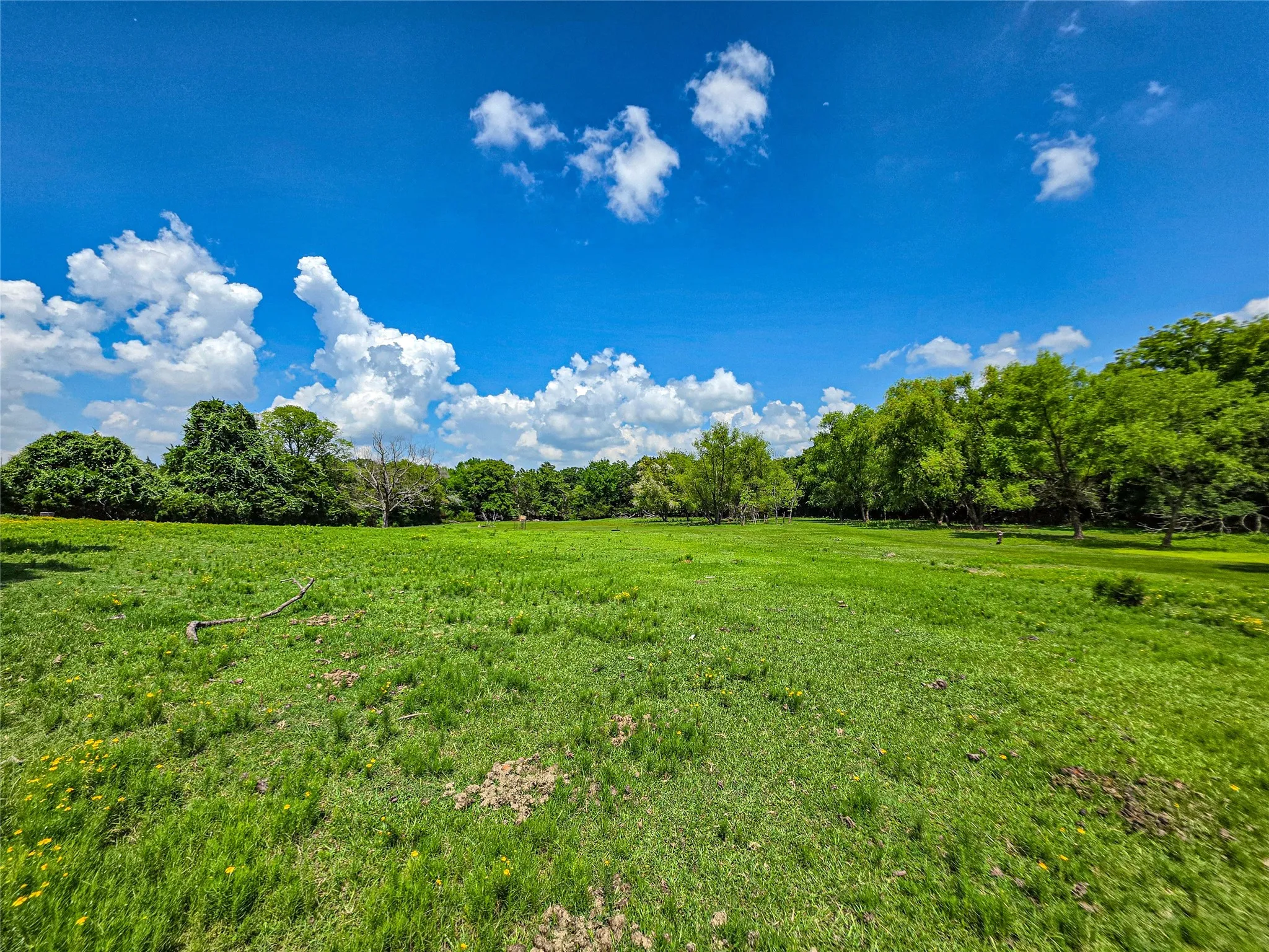 Unimproved Land For Sale in Dallas County , 1900 Haymarket Road, Dallas, Texas 75253, 0, 0, Garage spaces, 0 Sqft, built in 0, mls#21304152, Real Estate Agent in Dallas, Homes For Sale in Dallas county, Homes For Sale in Dallas, Realtor in Dallas Texas, Real Estate Brokerage Independent Realty Texas, Luminita Cordes Realtor