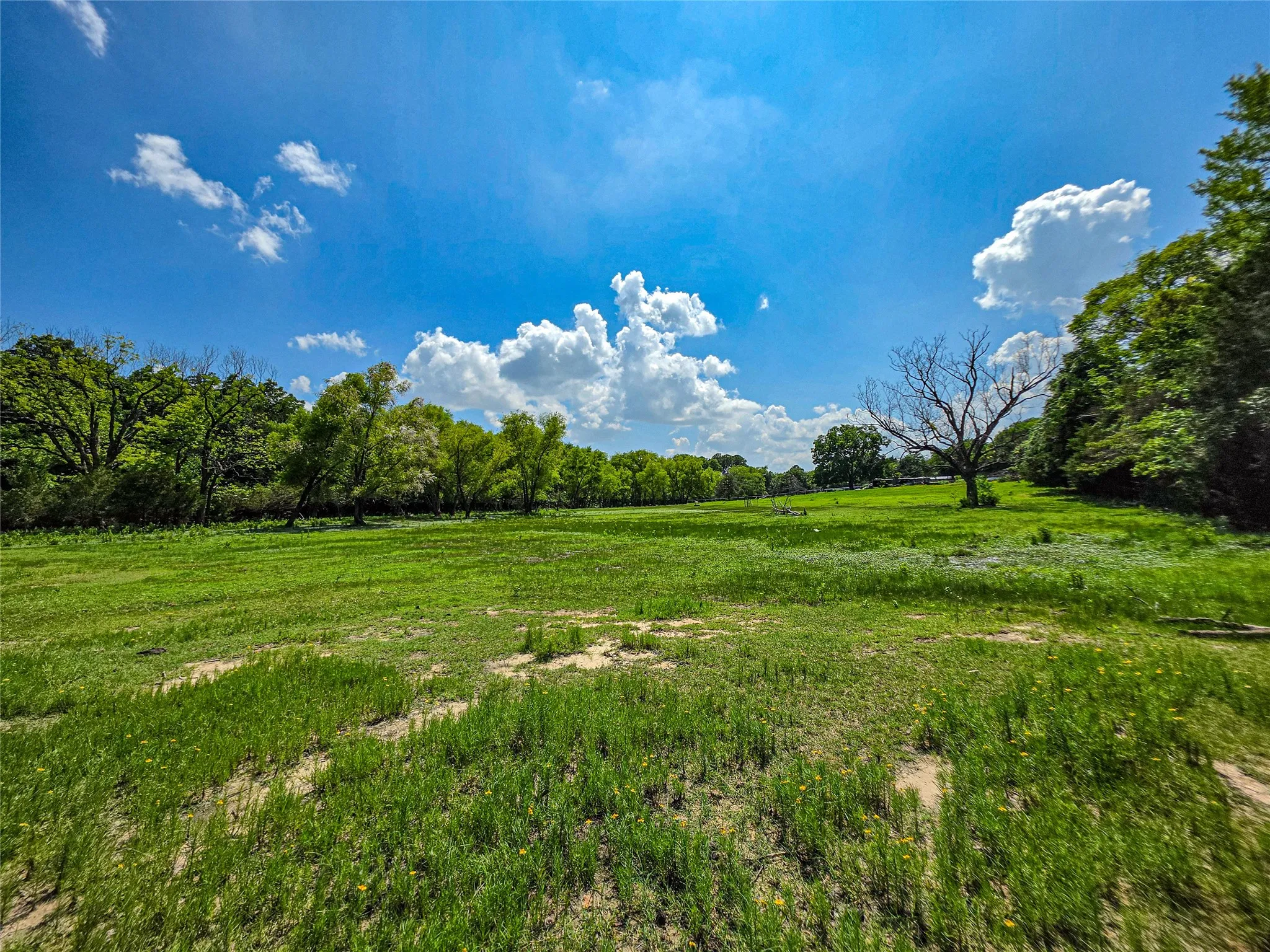 Unimproved Land For Sale in Dallas County , 1900 Haymarket Road, Dallas, Texas 75253, 0, 0, Garage spaces, 0 Sqft, built in 0, mls#21304152, Real Estate Agent in Dallas, Homes For Sale in Dallas county, Homes For Sale in Dallas, Realtor in Dallas Texas, Real Estate Brokerage Independent Realty Texas, Luminita Cordes Realtor