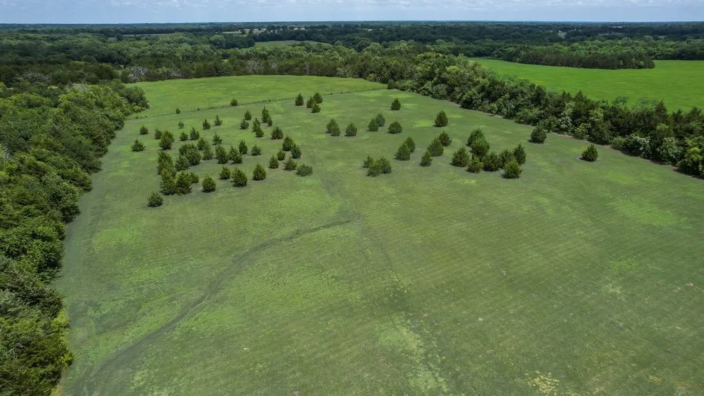 Single Family Residence For Sale in Fannin County , 1070 County Road 3030, Bonham, Texas 75418, 2 Bedroom, 1 Bathroom, Garage spaces, 500 Sqft, built in 2015, mls#21303605, Real Estate Agent in Bonham, Homes For Sale in Fannin county, Homes For Sale in Bonham, Realtor in Bonham Texas, Real Estate Brokerage Independent Realty Texas, Luminita Cordes Realtor
