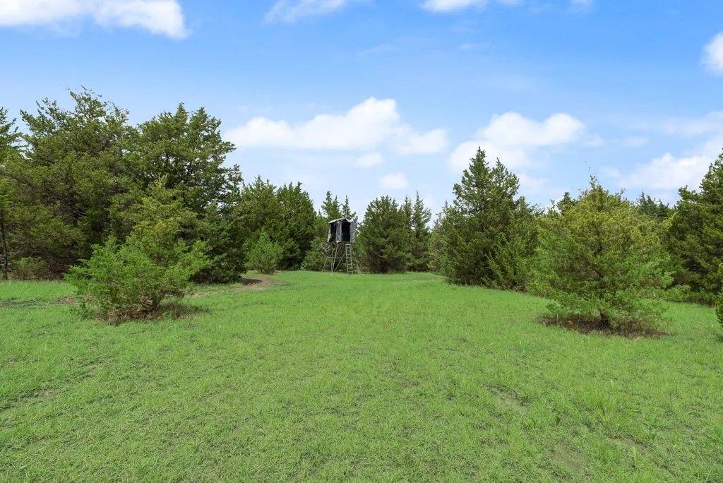 Single Family Residence For Sale in Fannin County , 1070 County Road 3030, Bonham, Texas 75418, 2 Bedroom, 1 Bathroom, Garage spaces, 500 Sqft, built in 2015, mls#21303605, Real Estate Agent in Bonham, Homes For Sale in Fannin county, Homes For Sale in Bonham, Realtor in Bonham Texas, Real Estate Brokerage Independent Realty Texas, Luminita Cordes Realtor