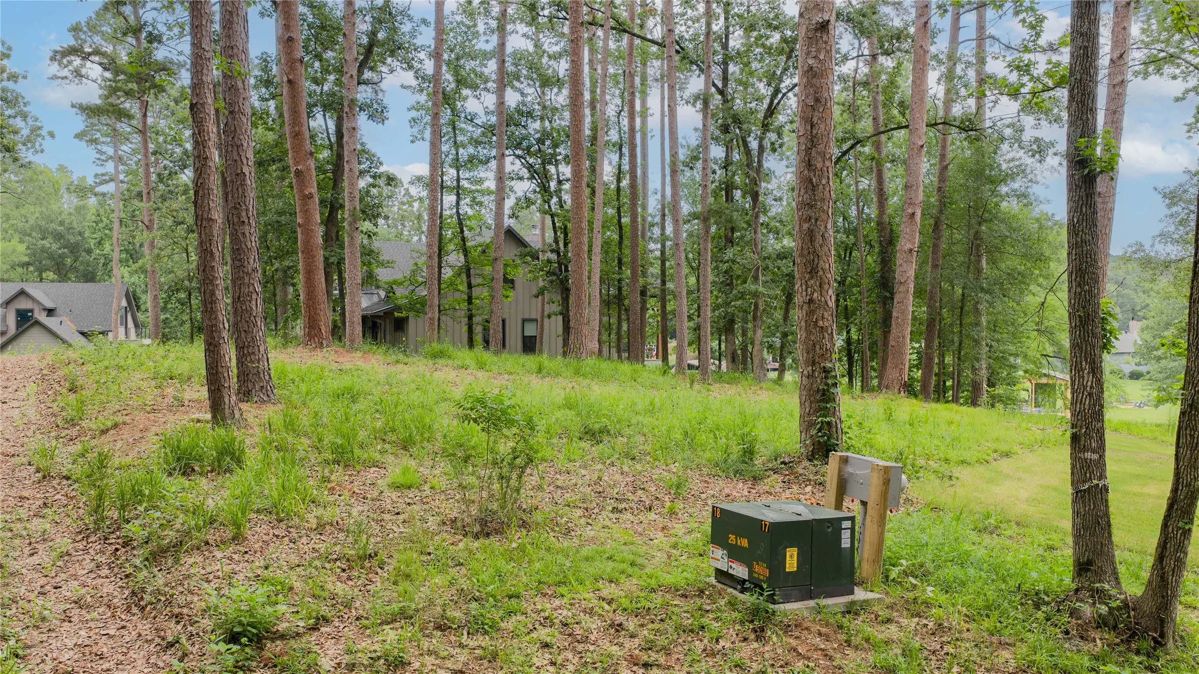 Unimproved Land For Sale in Franklin (TX) County , 0000 Naus Drive, Winnsboro, Texas 75494, 0, 0, Garage spaces, 0 Sqft, built in 0, mls#21304238, Real Estate Agent in Winnsboro, Homes For Sale in Franklin (TX) county, Homes For Sale in Winnsboro, Realtor in Winnsboro Texas, Real Estate Brokerage Independent Realty Texas, Luminita Cordes Realtor