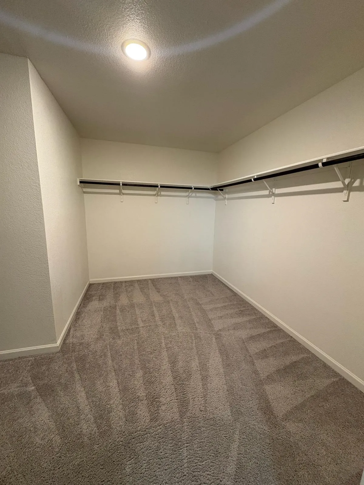 Spacious walk-in closet featuring plush gray carpeting, white walls, and a recessed ceiling light