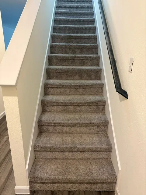 Carpeted staircase with a dark handrail, white risers, and matching baseboards