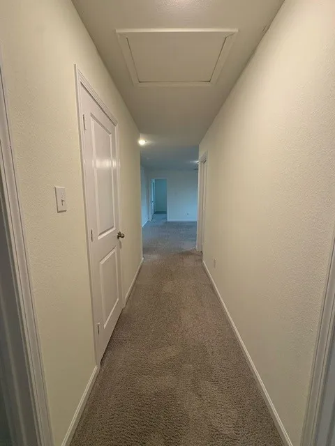 Hallway featuring plush carpet flooring, recessed lighting, and a white paneled door