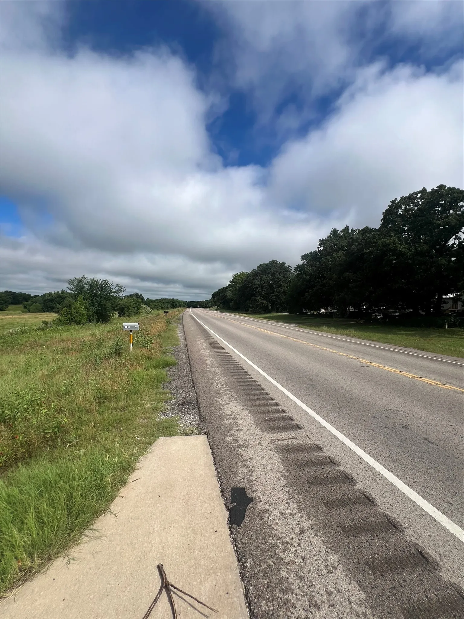 Unimproved Land For Sale in Johnson County , 7101 S Highway 171, Grandview, Texas 76050, 0, 0, Garage spaces, 0 Sqft, built in 0, Price $259,900, mls#21304247, Real Estate Agent in Grandview, Homes For Sale in Johnson county, Homes For Sale in Grandview, Realtor in Grandview Texas, Real Estate Brokerage Independent Realty Texas, Luminita Cordes Realtor
