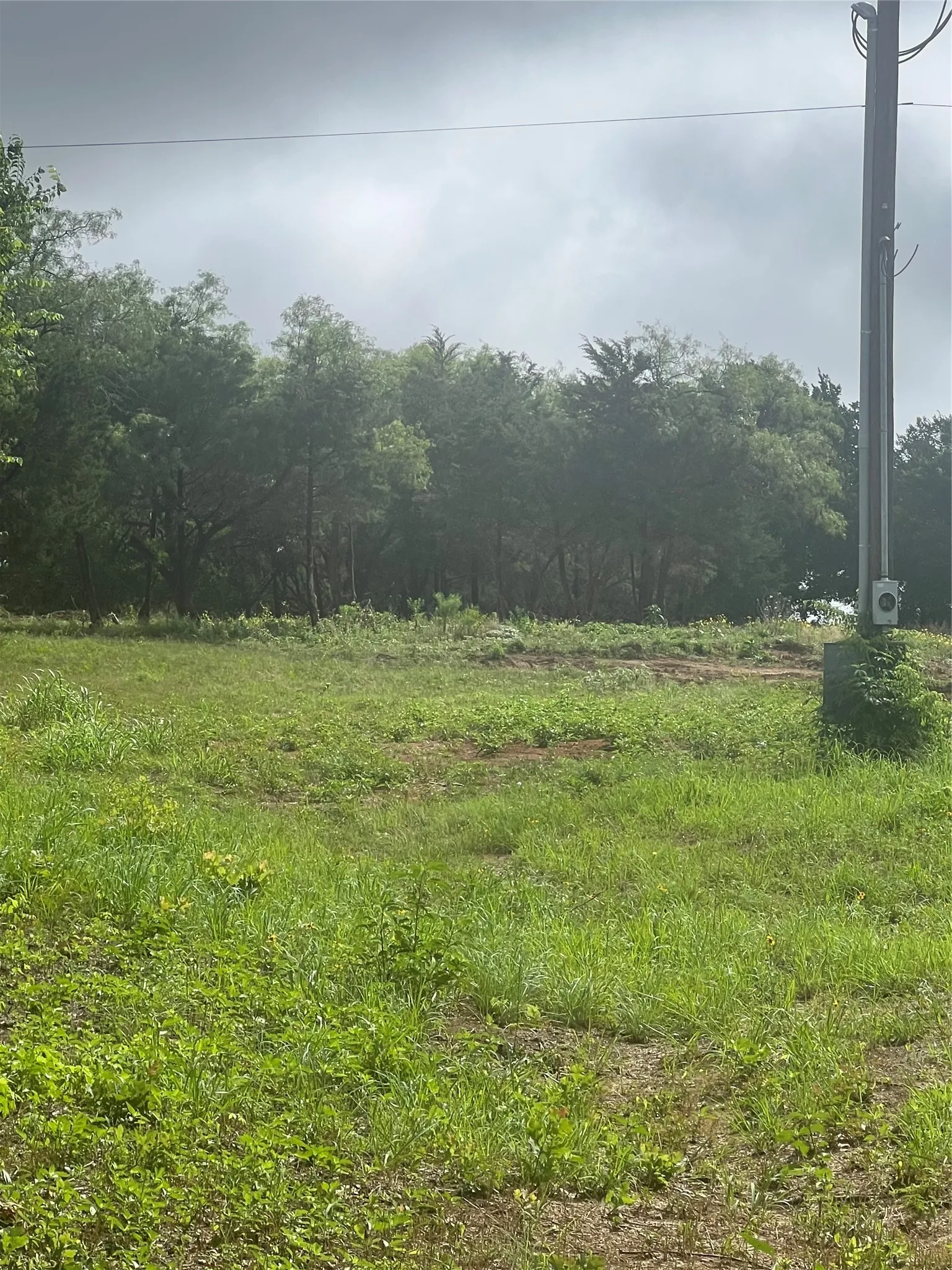 Unimproved Land For Sale in Johnson County , 7101 S Highway 171, Grandview, Texas 76050, 0, 0, Garage spaces, 0 Sqft, built in 0, Price $259,900, mls#21304247, Real Estate Agent in Grandview, Homes For Sale in Johnson county, Homes For Sale in Grandview, Realtor in Grandview Texas, Real Estate Brokerage Independent Realty Texas, Luminita Cordes Realtor